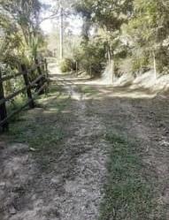 IMG_4485