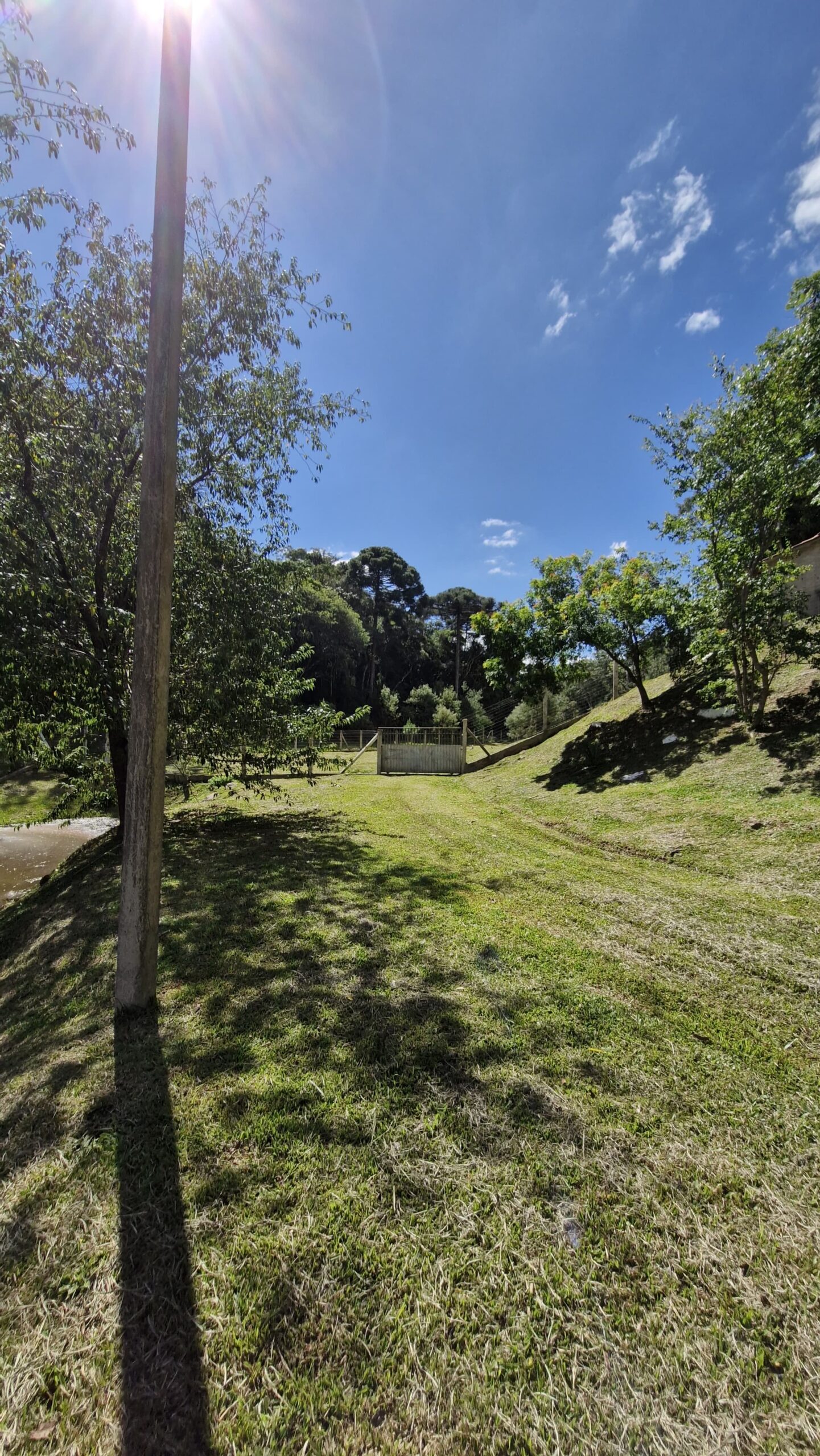 0585e17d-e064-4b61-9db1-6603d6ef47aa