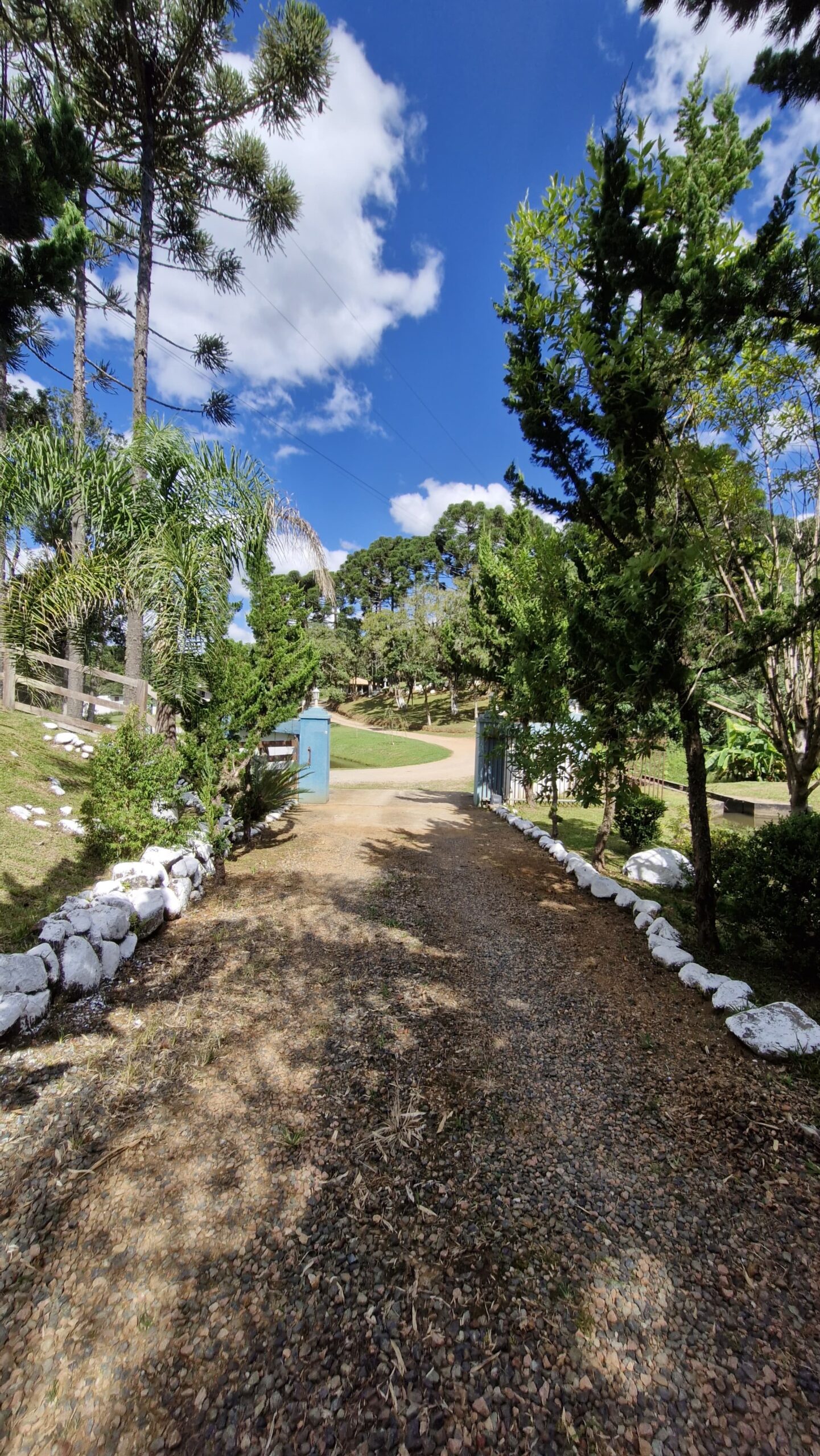 174cc02b-61b8-423a-8504-73d4ebe23fd9