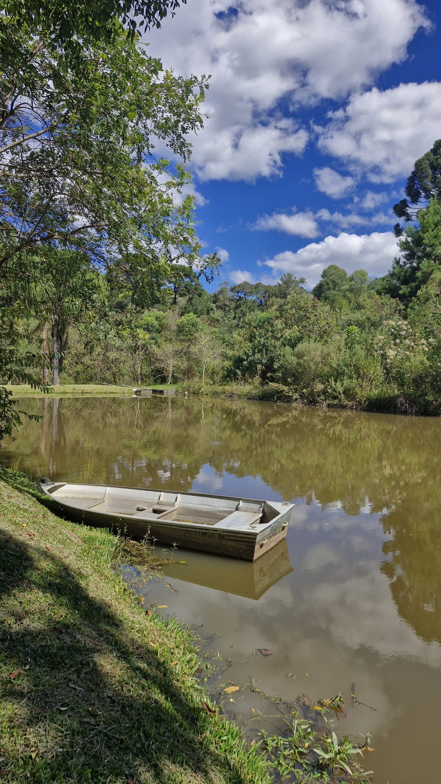 287666db-447e-4df9-be79-4821aed2717e