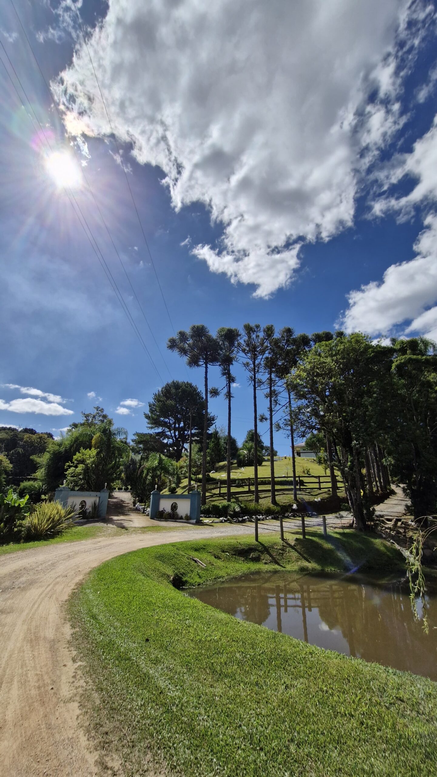 4e2565a9-5b3e-41e4-ae47-e068067eef4c