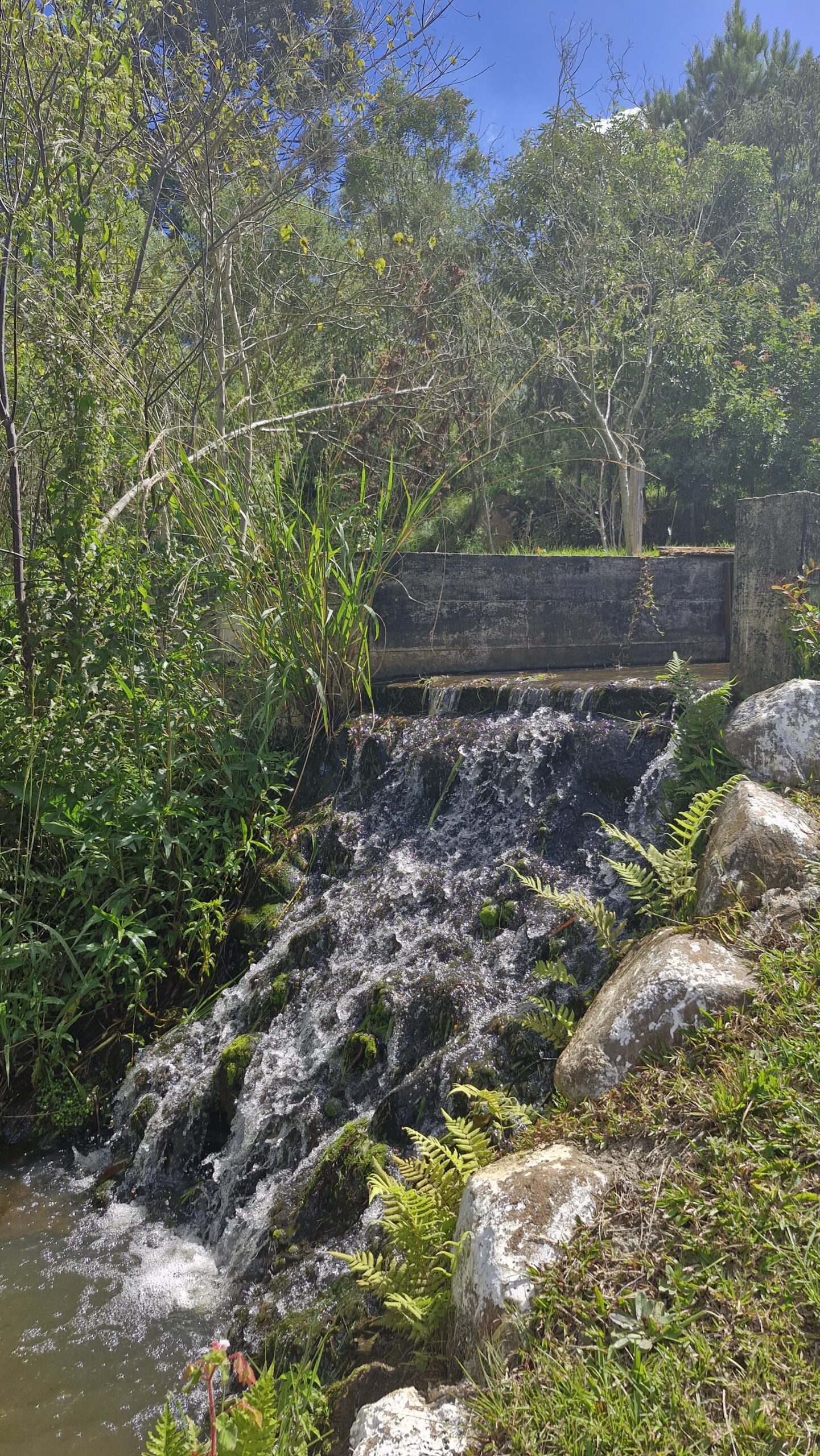 64f49e99-8039-4a7a-b867-a85307144e3b