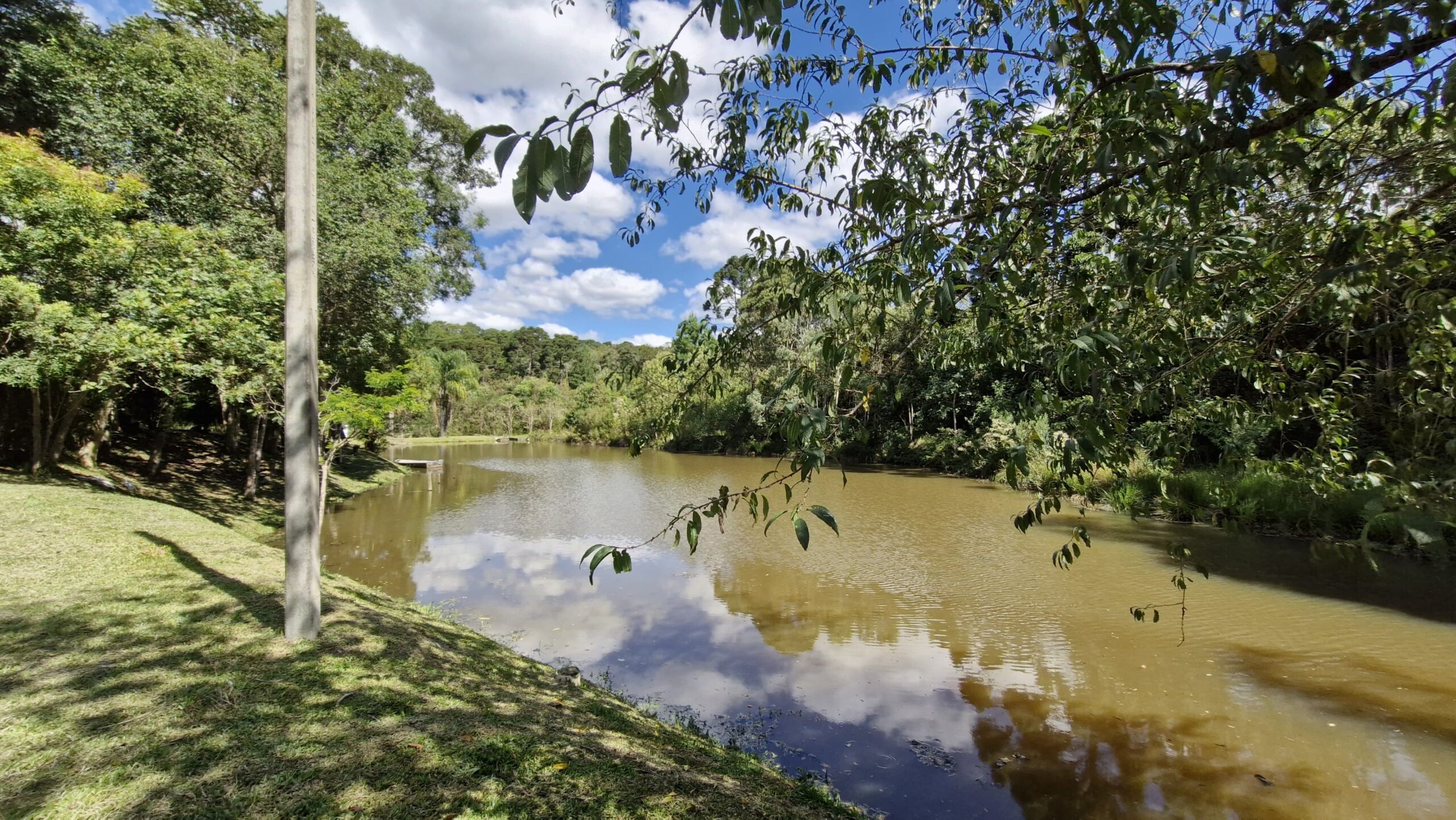 96807412-1537-4c84-a95a-512722f04882