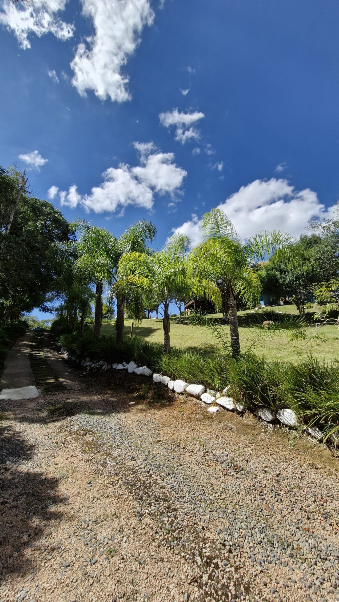 cc3d4956-1107-484e-872e-f0c9d7819eaf