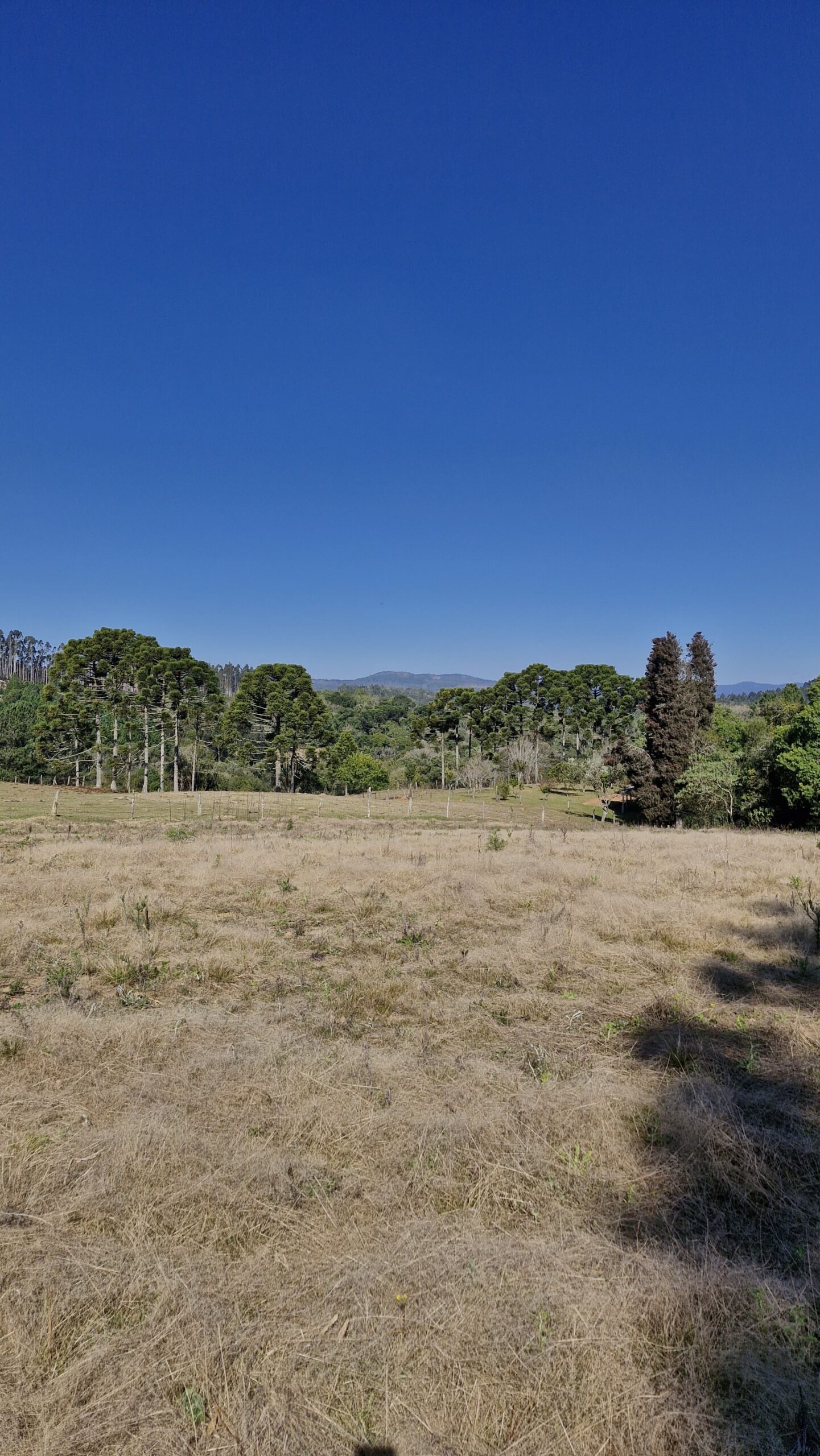 0b9fc1f7-5df4-4151-8189-d4a49973be26