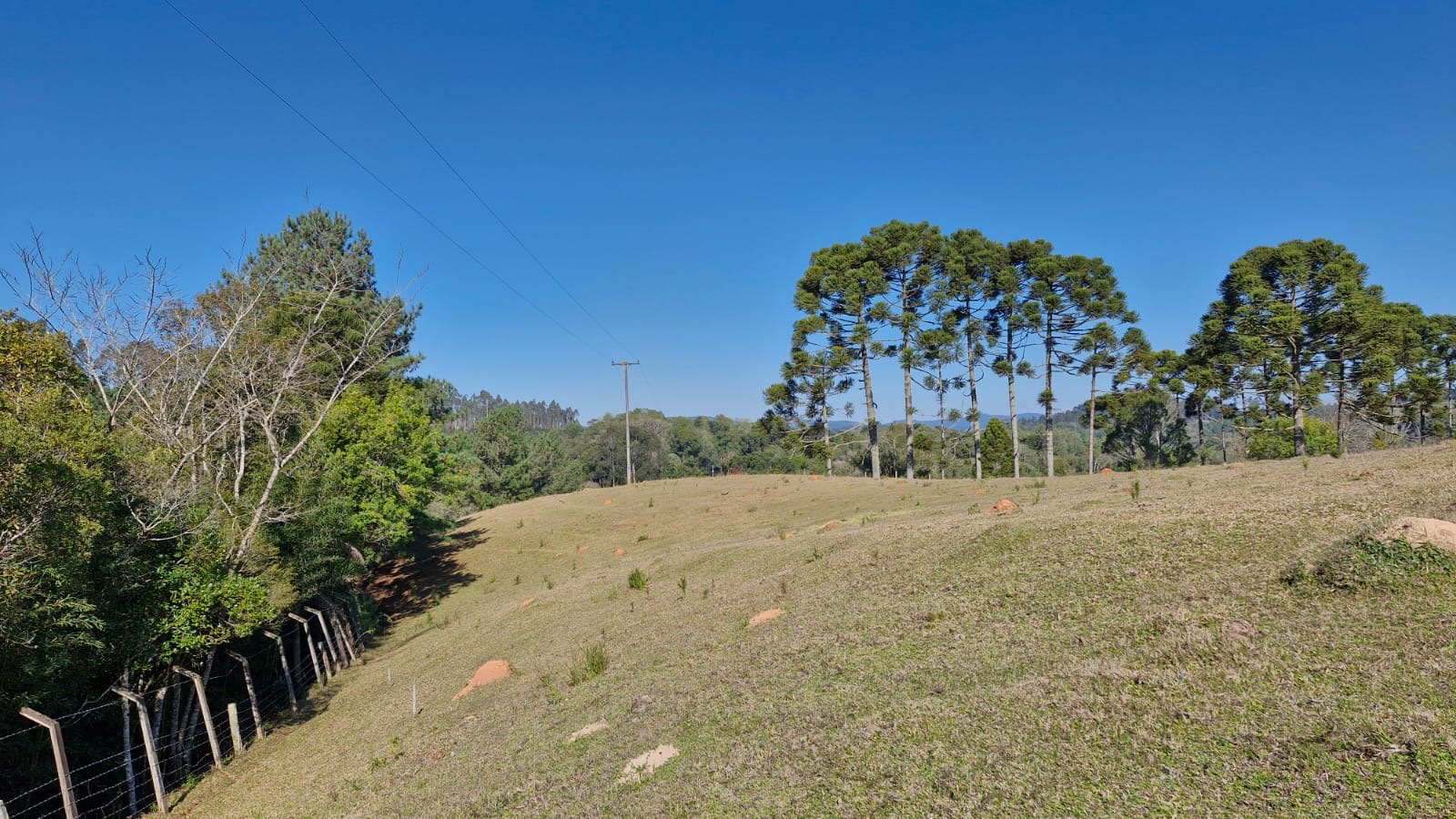 21de821a-0386-461b-acf5-70ae05a8ac9c