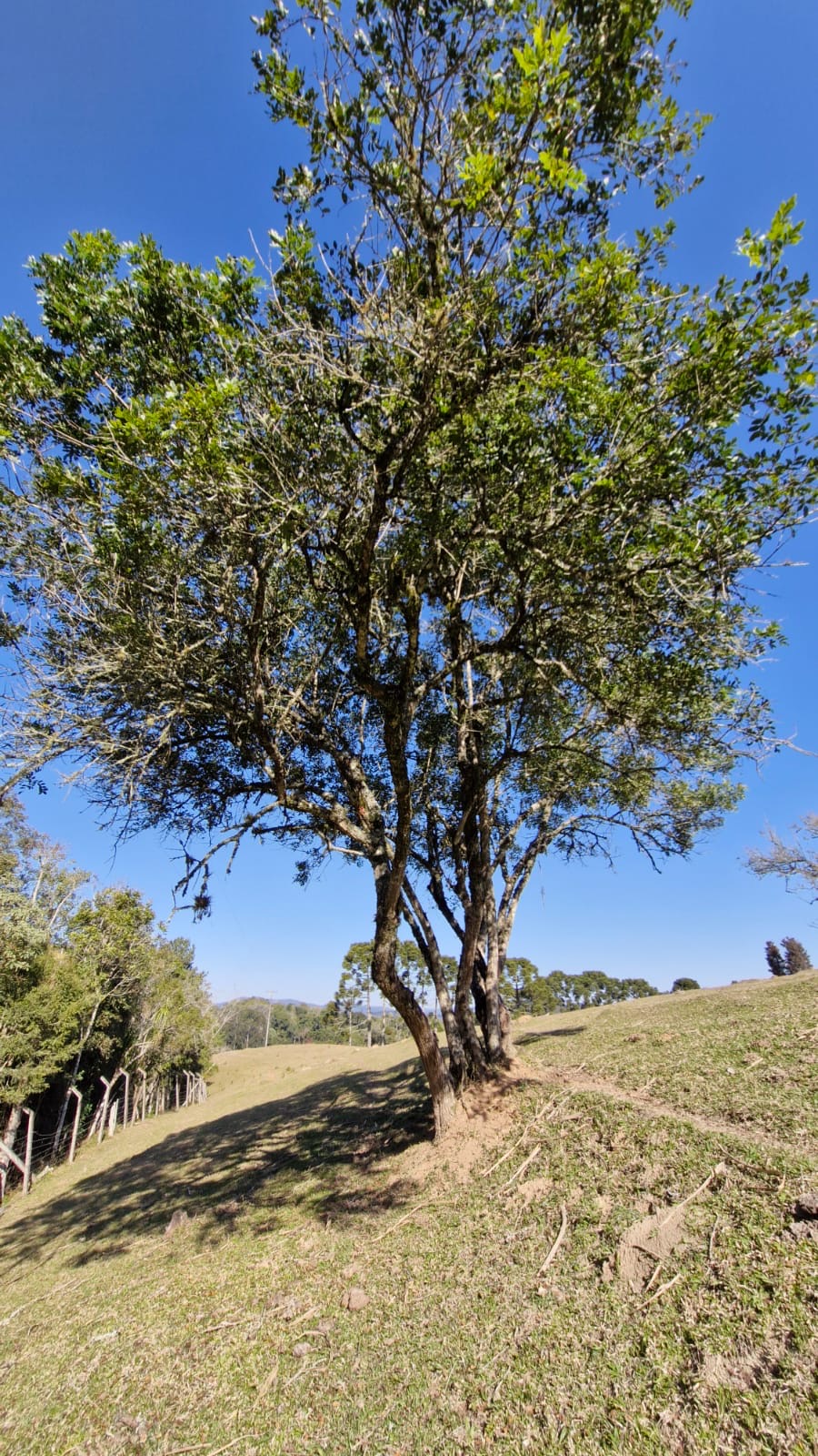 29ab56f1-4a44-461a-83f7-d8b58c449751