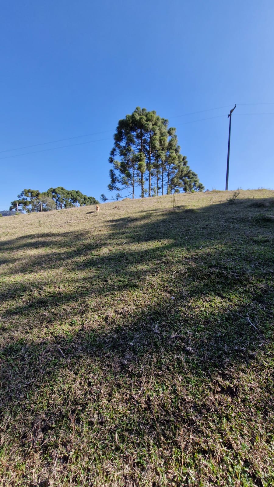 5aeba172-7ce6-4d3b-83d8-4935db32c57b