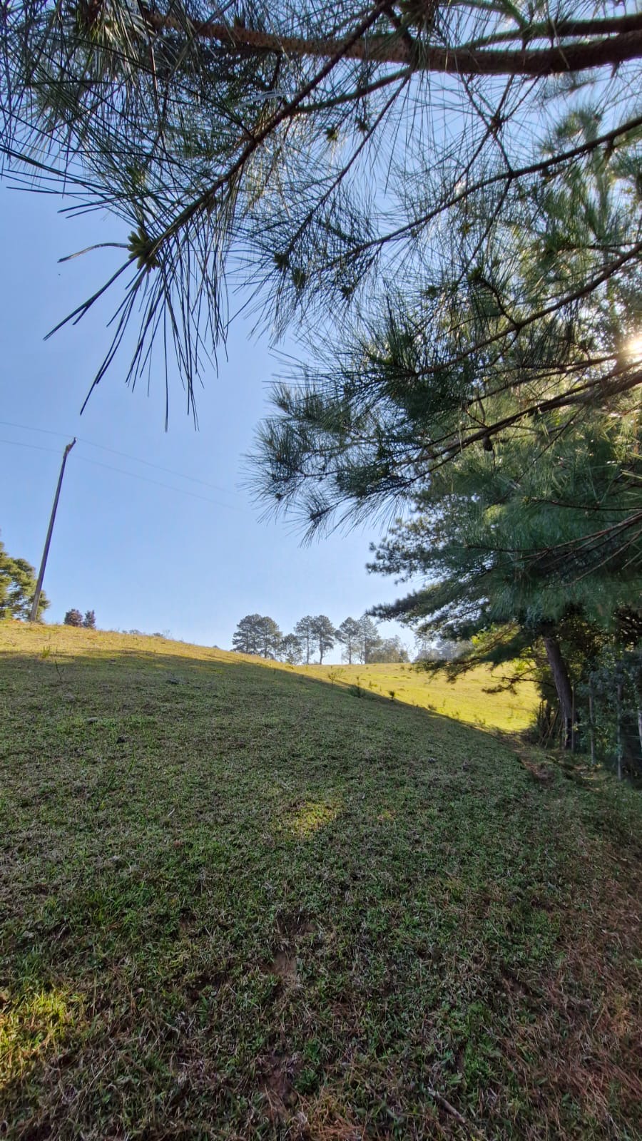 5cc81e08-5cf4-4d63-a324-164498091f16