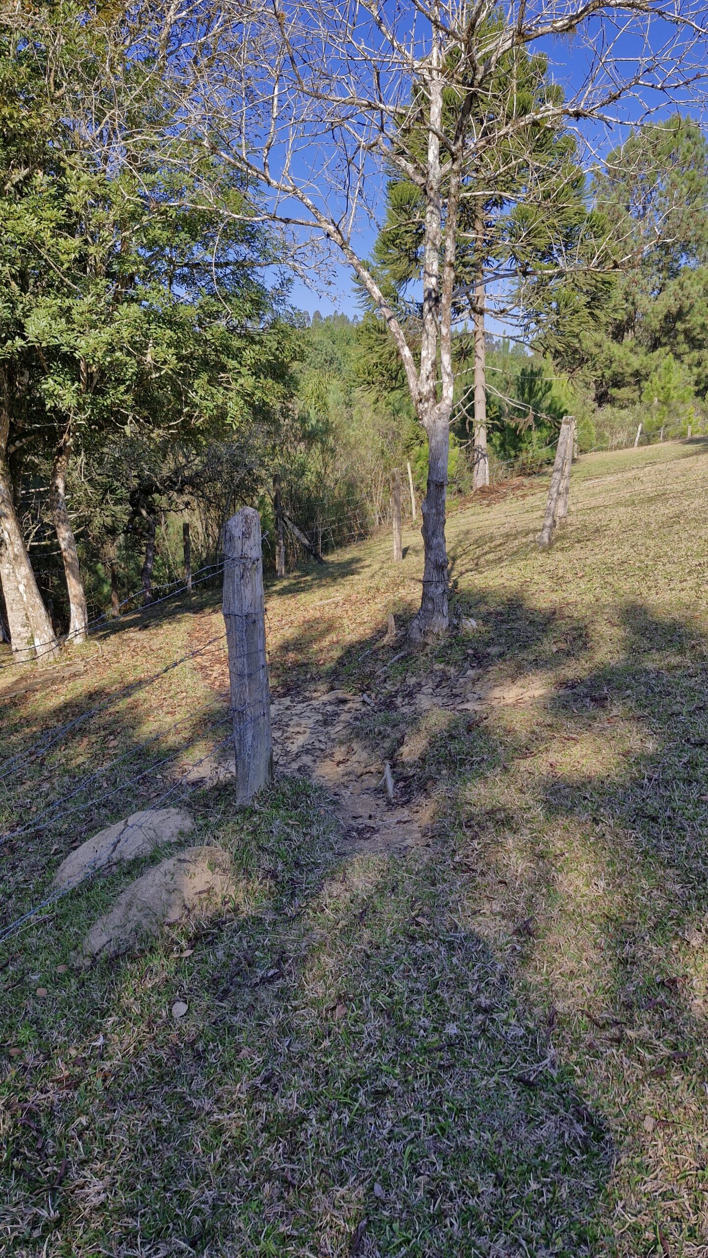 5d163229-668e-43d1-8e9c-9c35f5c2ed68