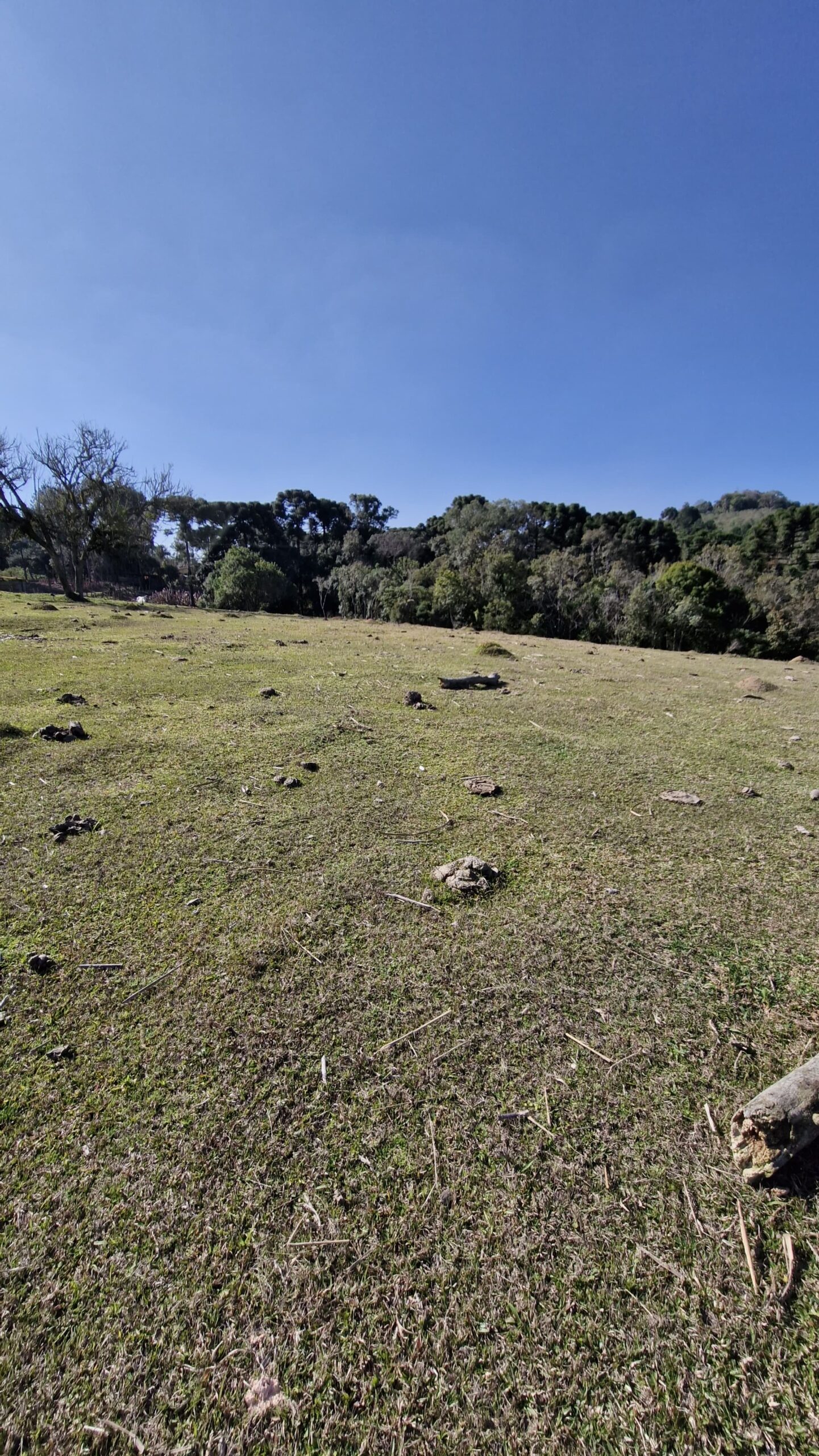 758adc3f-253d-41b7-bd21-5a8c25f9d56e