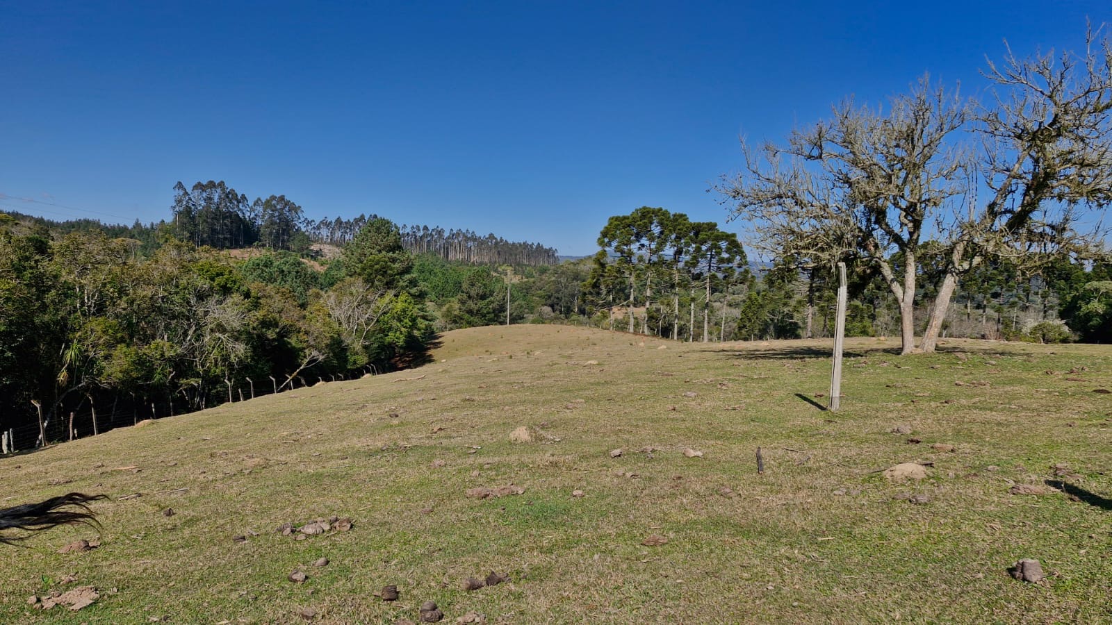 7f777866-fe65-4245-9466-cce83cec05a0