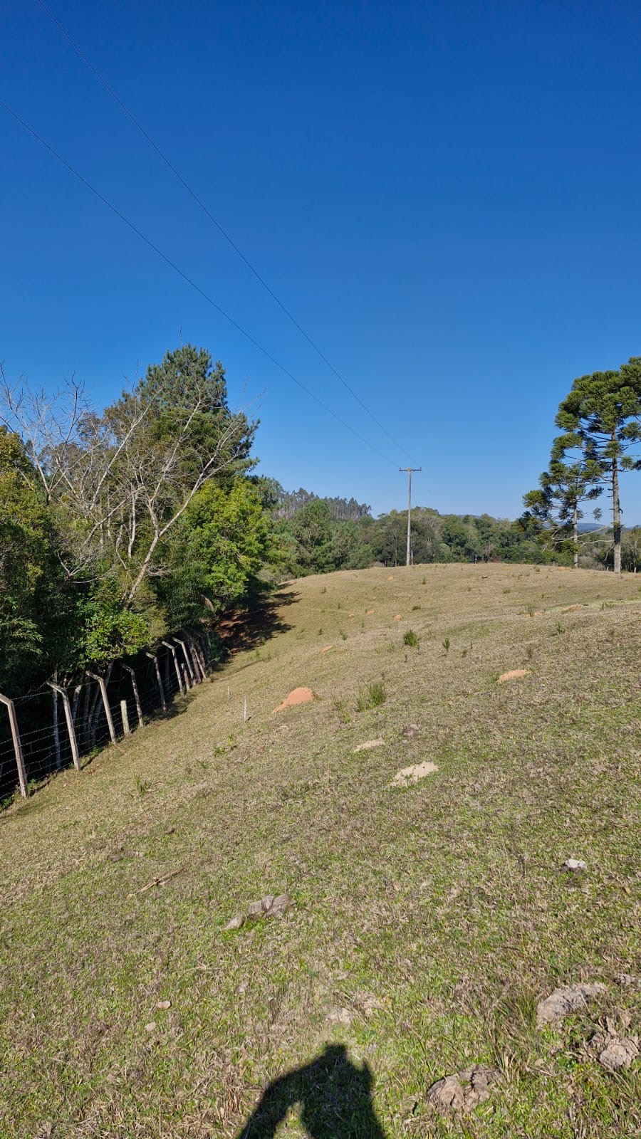 86cbe5e3-a2f1-40de-b223-7815a4639862