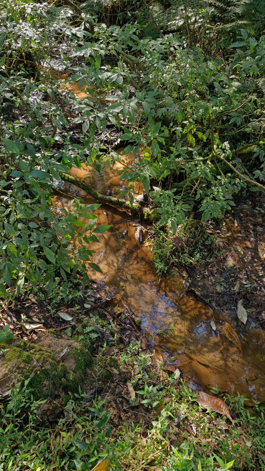 8f5657a2-6f57-4a52-94ee-71d5a9f38910