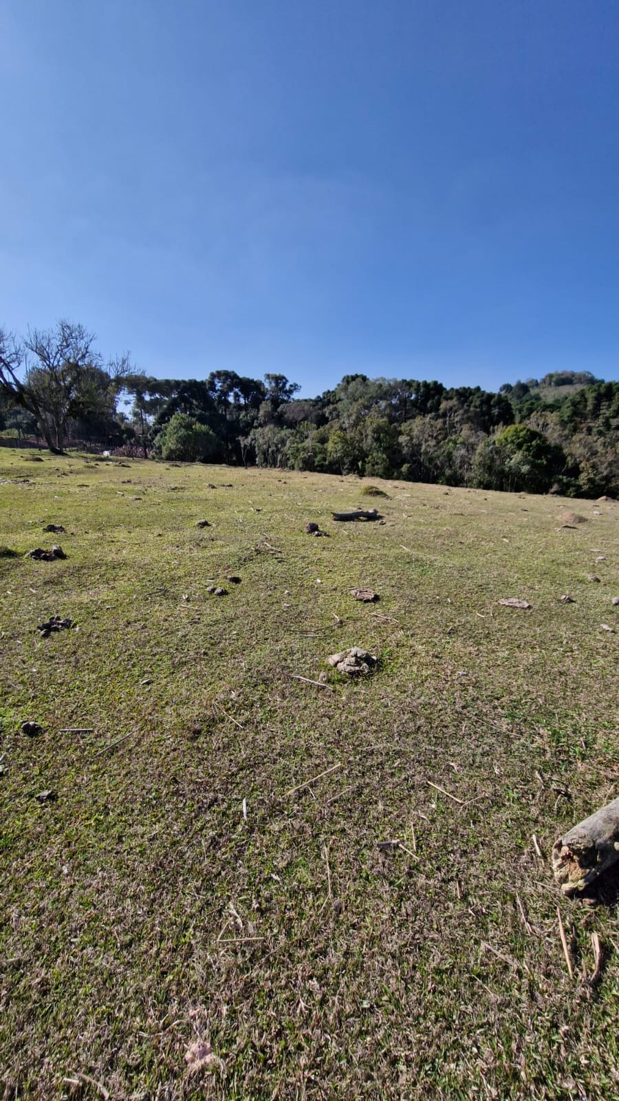 e208d047-f3da-408e-9f6f-84cd56f5641d