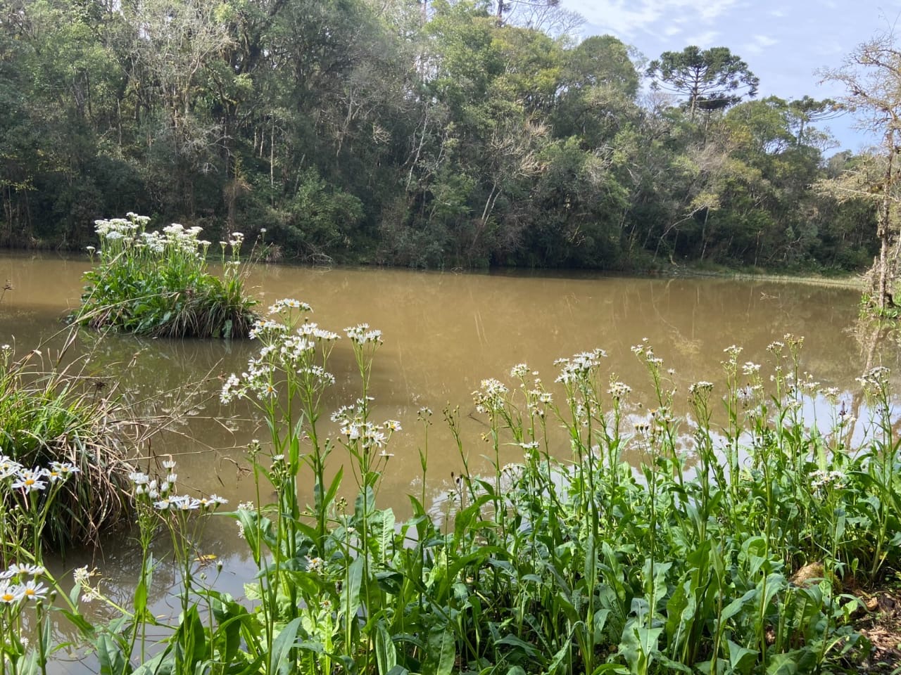 1394f448-402a-4323-8a5c-0a5d6f5d9ef0