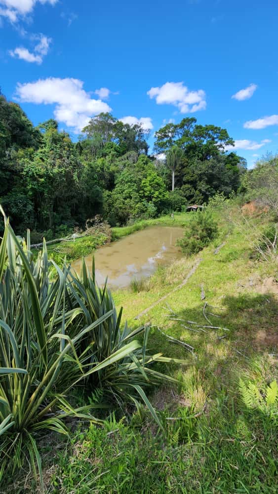 293824b7-cba1-4bd1-b29e-5dd1d5fe7391