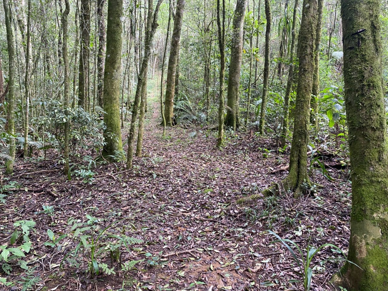 67072d18-4a2d-4414-ae39-1a9445e0a485