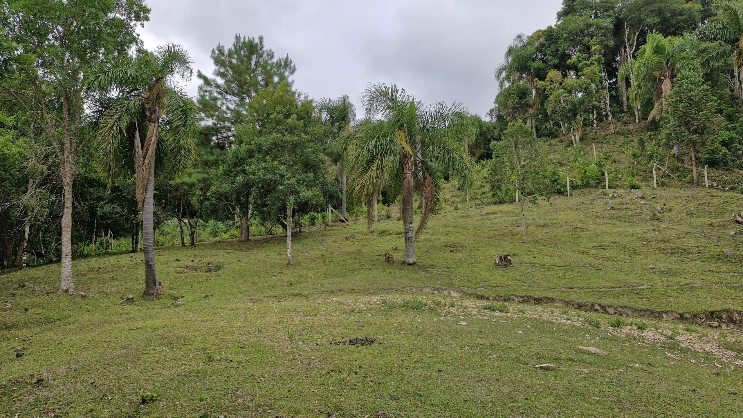 6bcc5b0f-5f9b-4cc4-aa6d-321f2be809f1