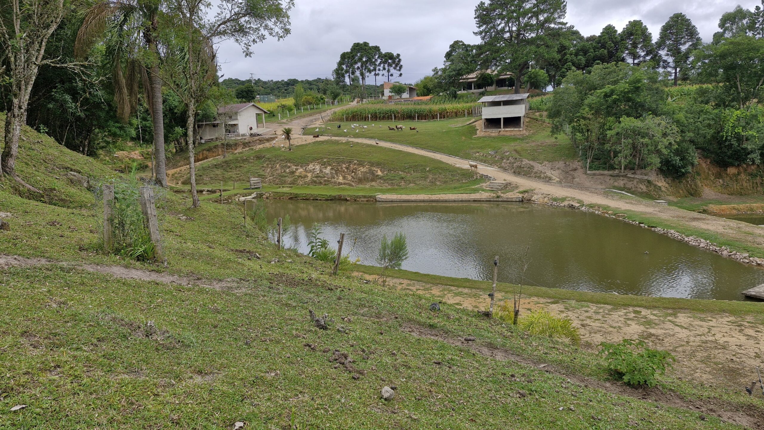 71ef98e4-b898-494f-8e63-4c038fd0193d