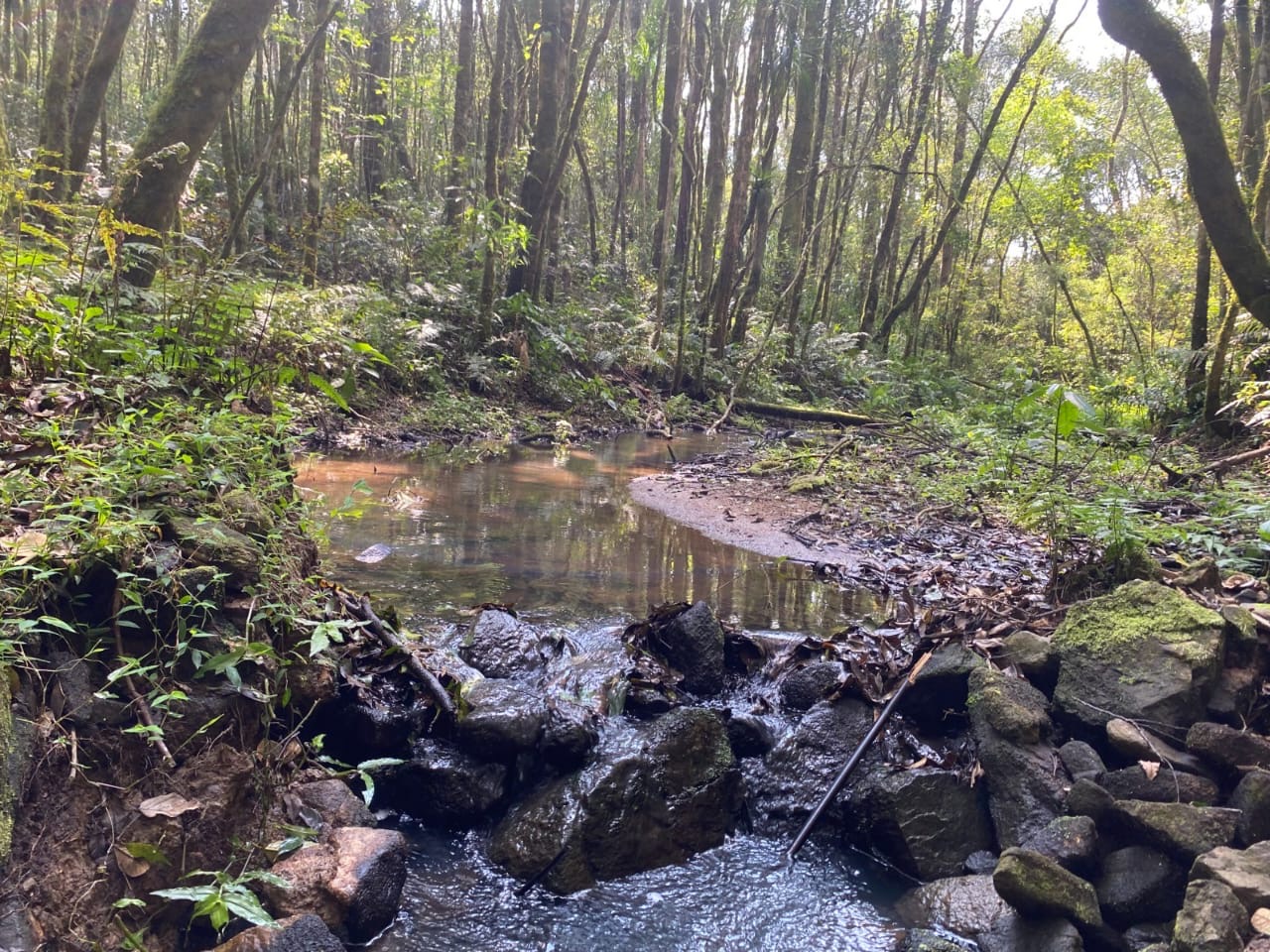 72af2cb5-ec35-4938-9887-f4c66b9698d3