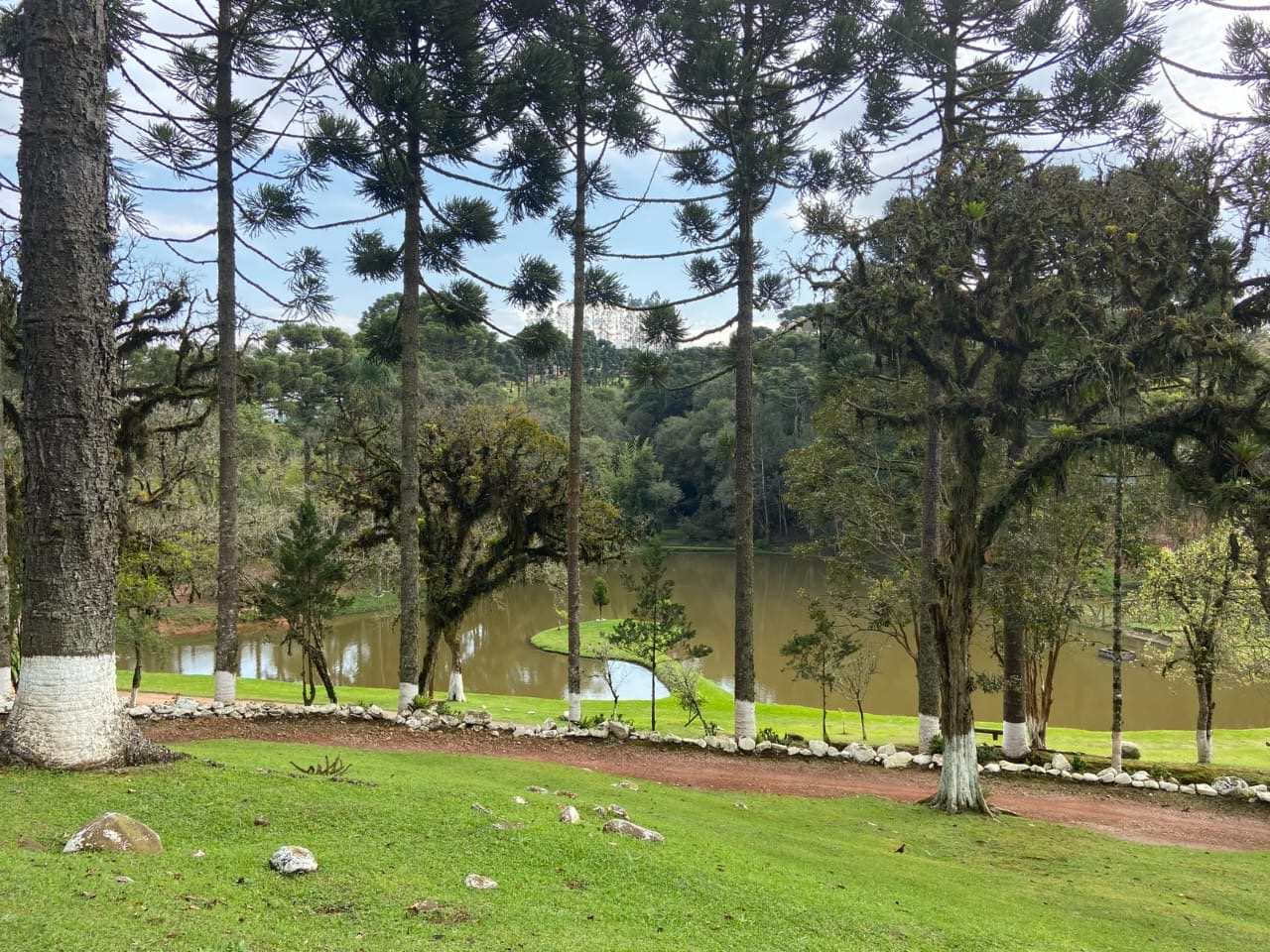 958852c0-f94c-4235-bbd9-1930f00793a2