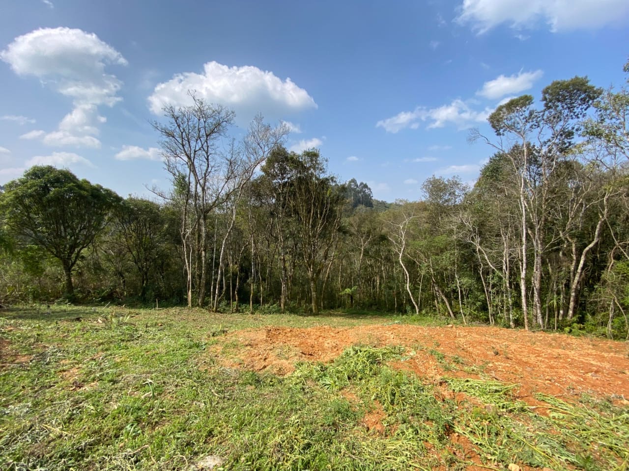 ac6115eb-65fe-4661-907a-43c07eb71daa