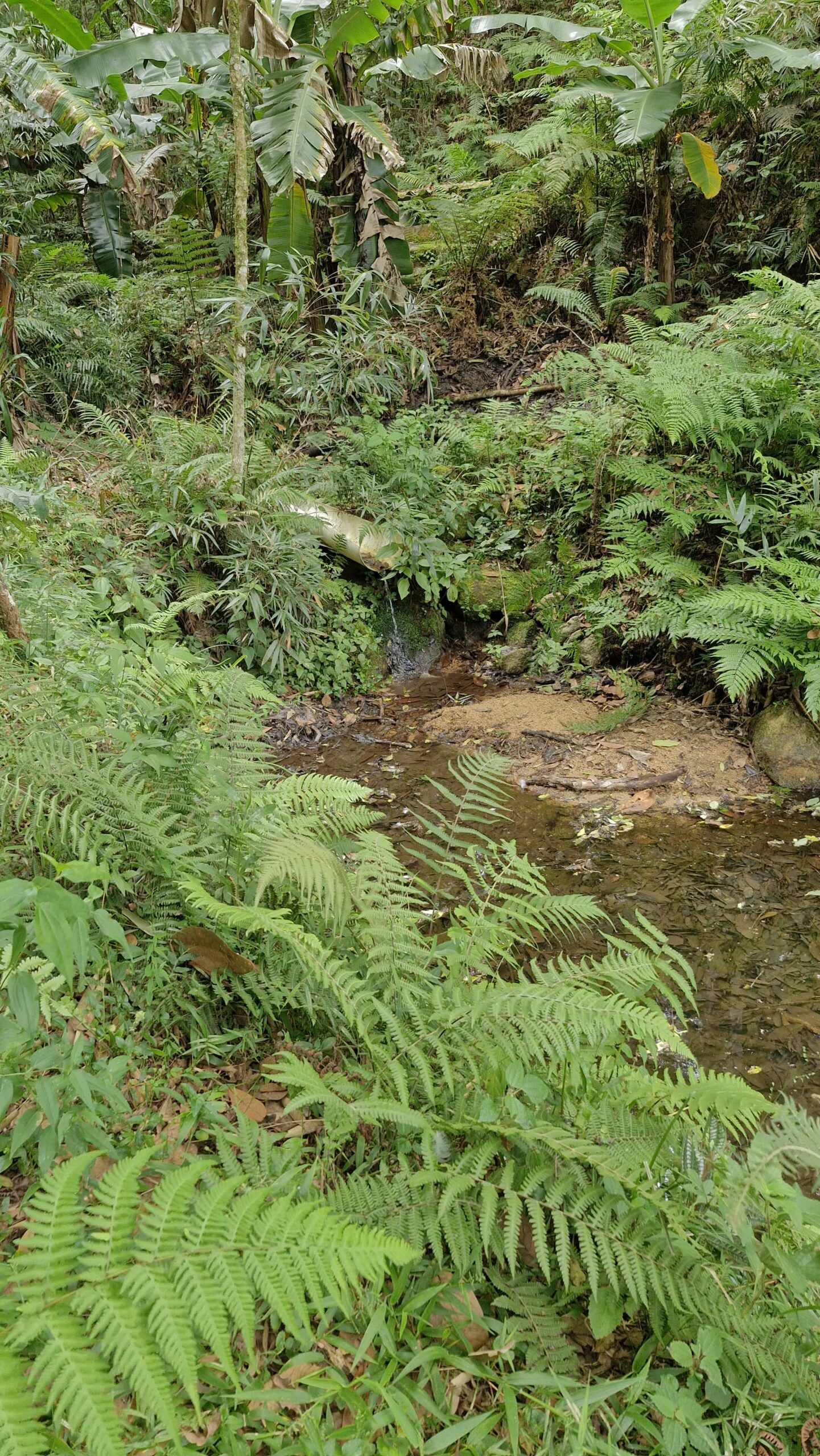 b4182f94-d23a-4078-80ff-738730e7b50a