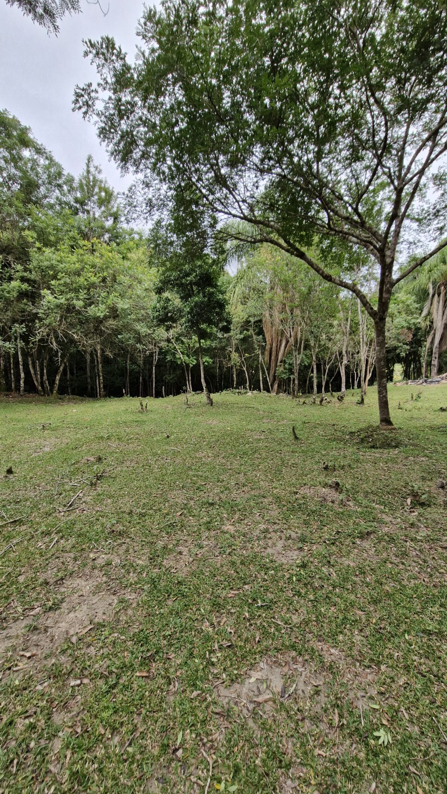 bf2d748b-543a-4b3b-892f-7bc2a1663776