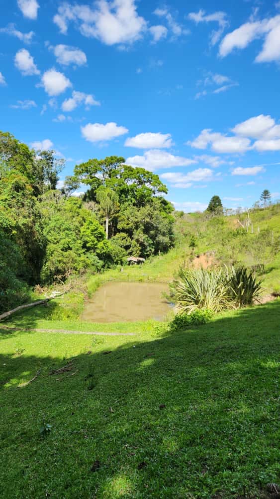 d25c730c-0a27-438f-a4f4-e93cd0dbf5f5