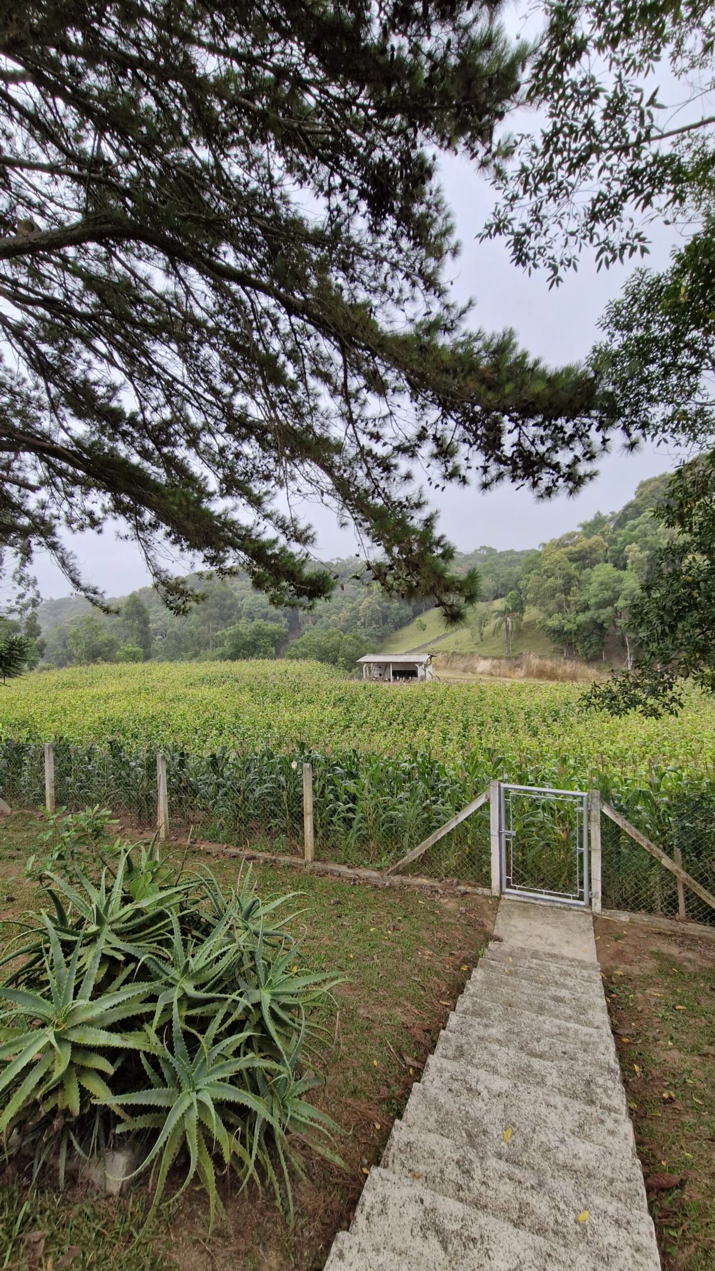 ddc14941-b4d7-4612-b08a-2fcced0fb216