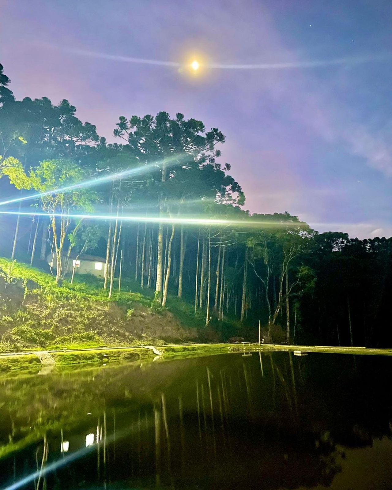 205a048a-ec45-4c5c-9371-5edae5e24f41