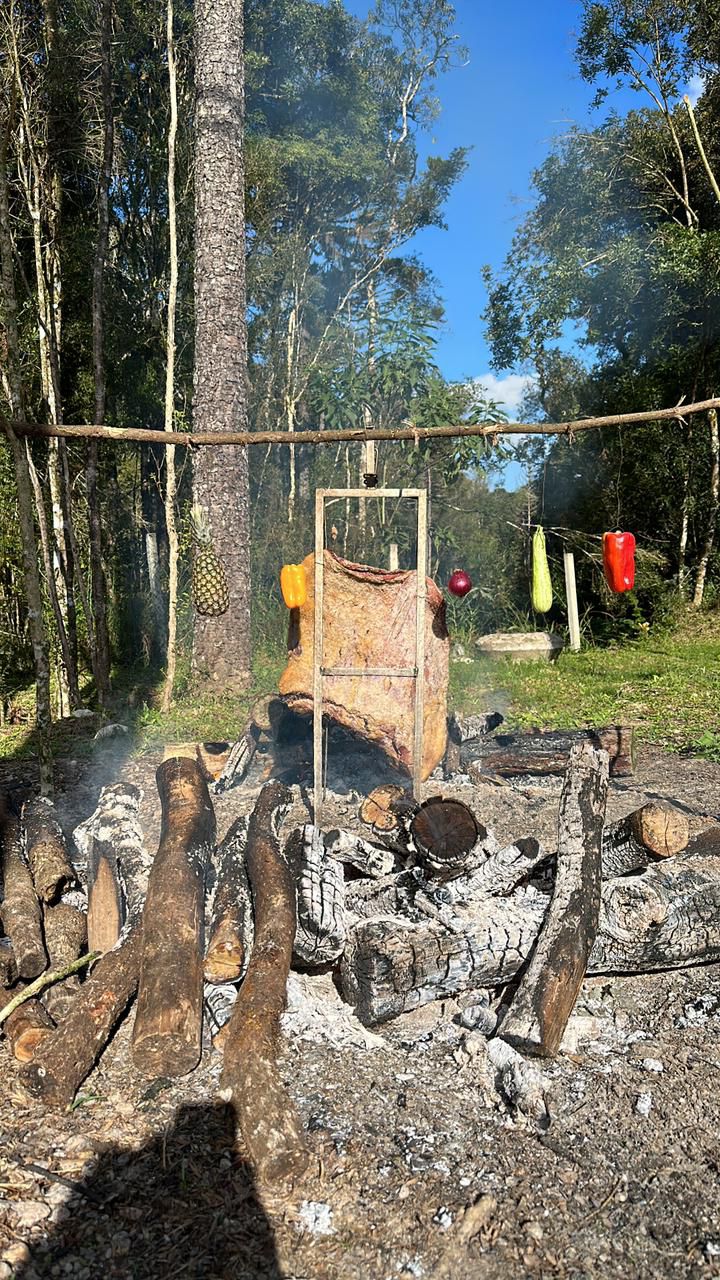 6ac26e62-9630-454a-9c33-beb508ab92b9