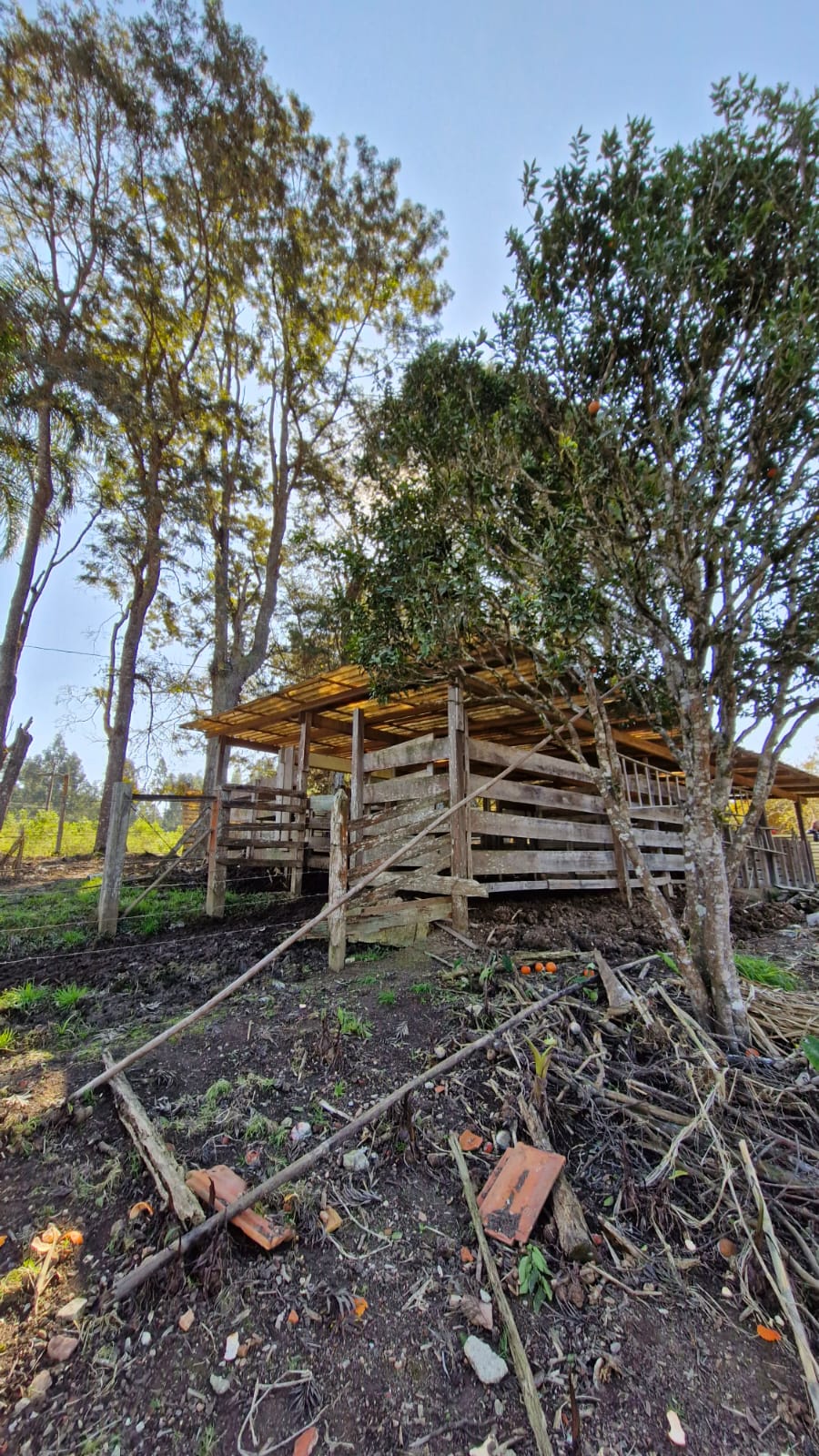 0cb08a90-8e0c-4691-bab3-07e4c8c34dbe