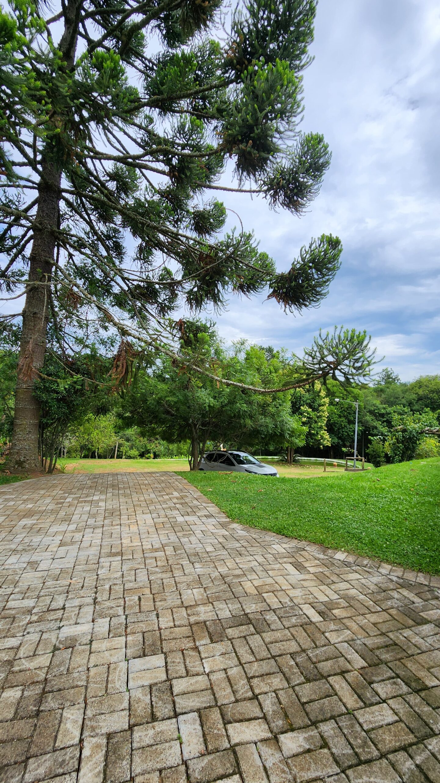 30b1b67b-d566-4da4-a856-8e3eef4923c3