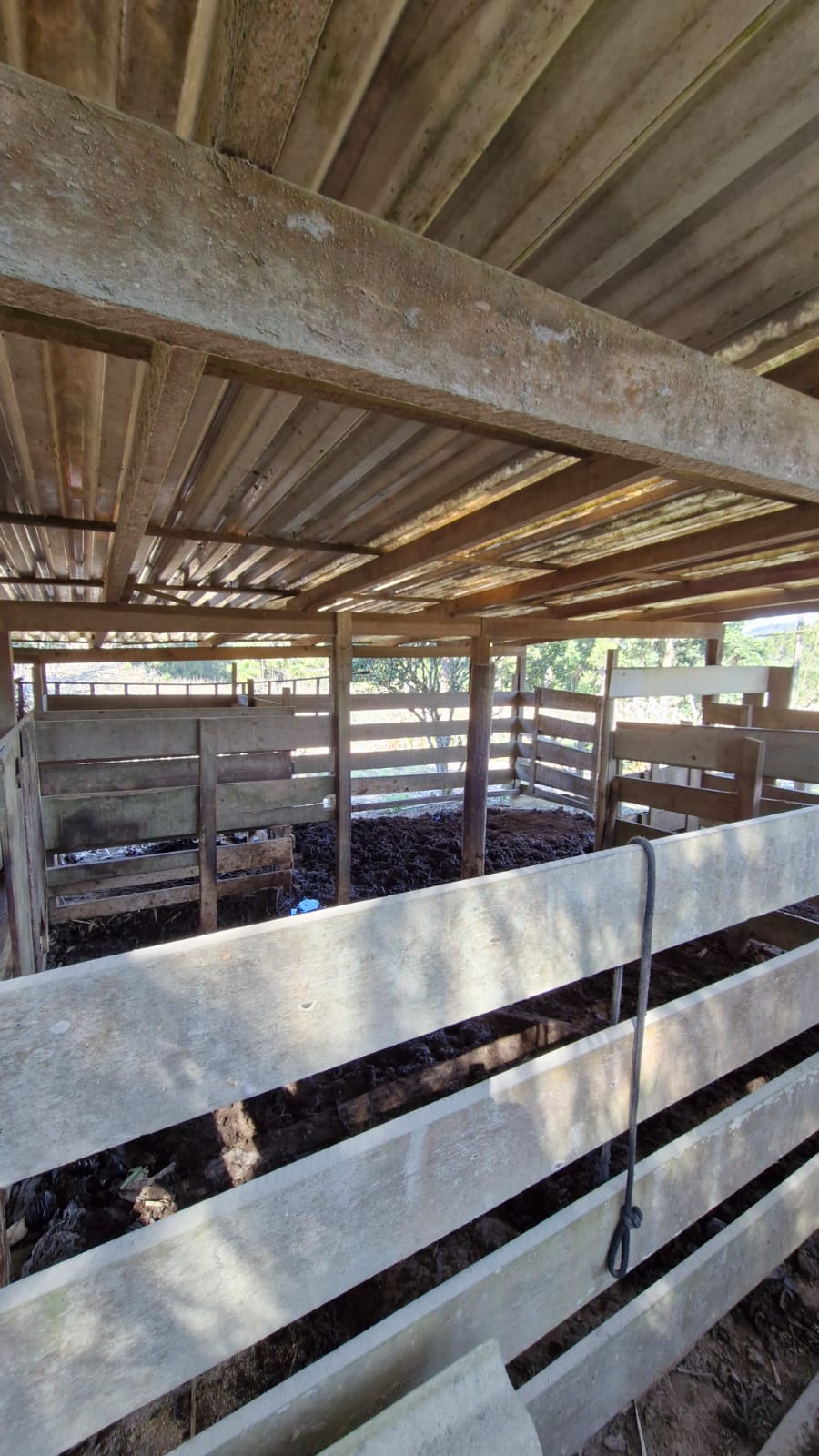 5493fc64-b08a-4a83-ae88-b5e0930f74fa