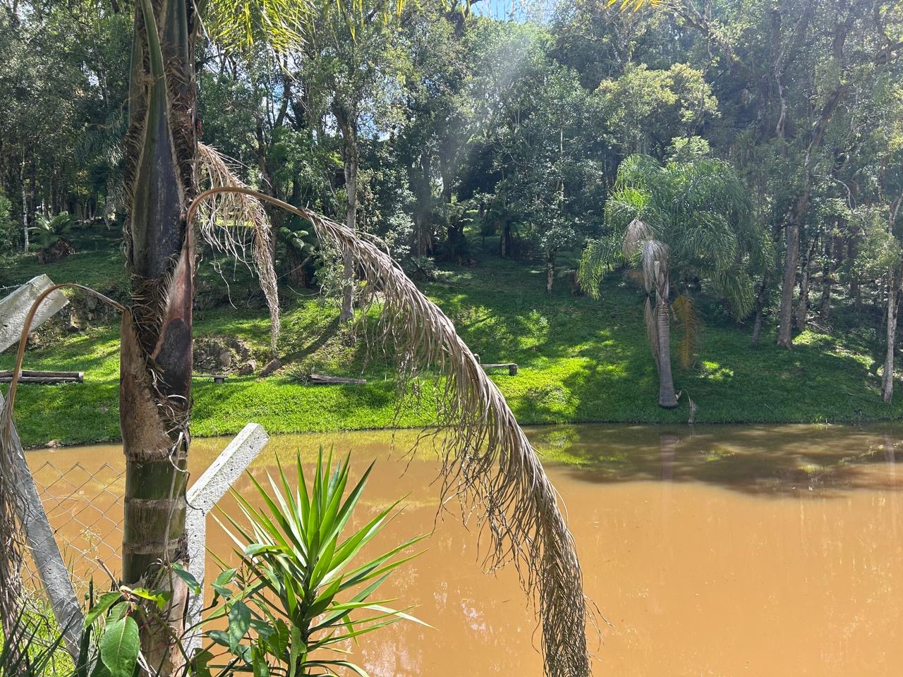 90d156a2-ac50-4dfa-8bed-93bb25beb8c9