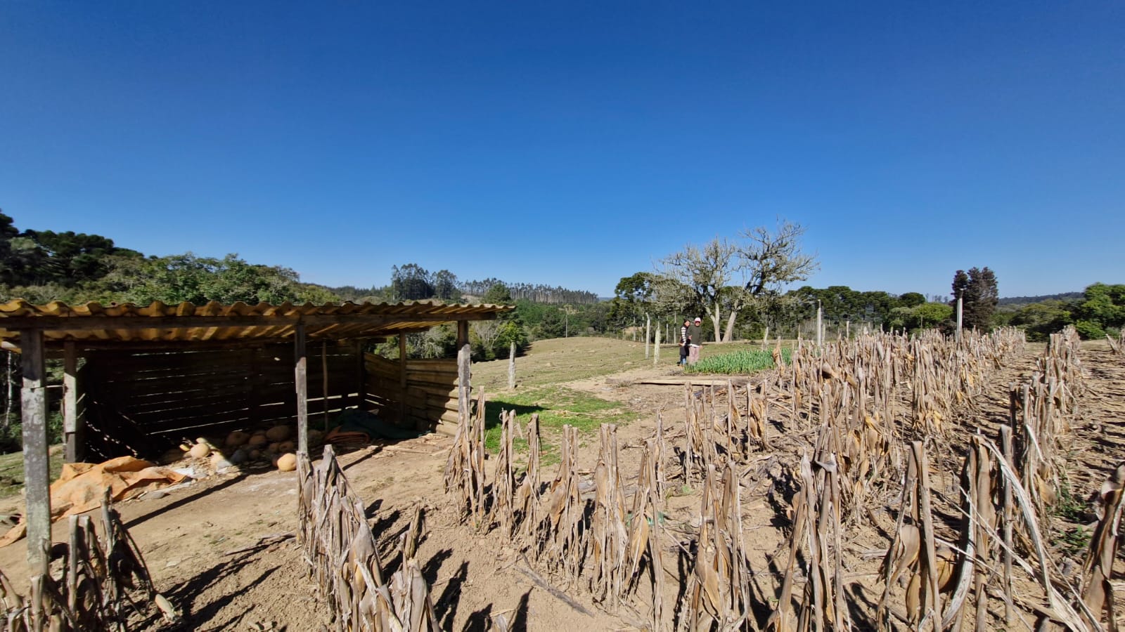 b367d5da-d192-4273-ac64-d74fec5f9c75