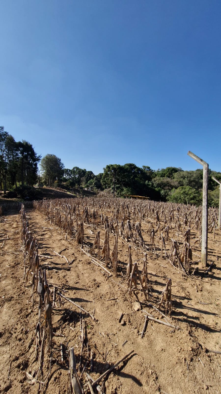 dc9611de-873d-47a4-8a84-316a69133aca