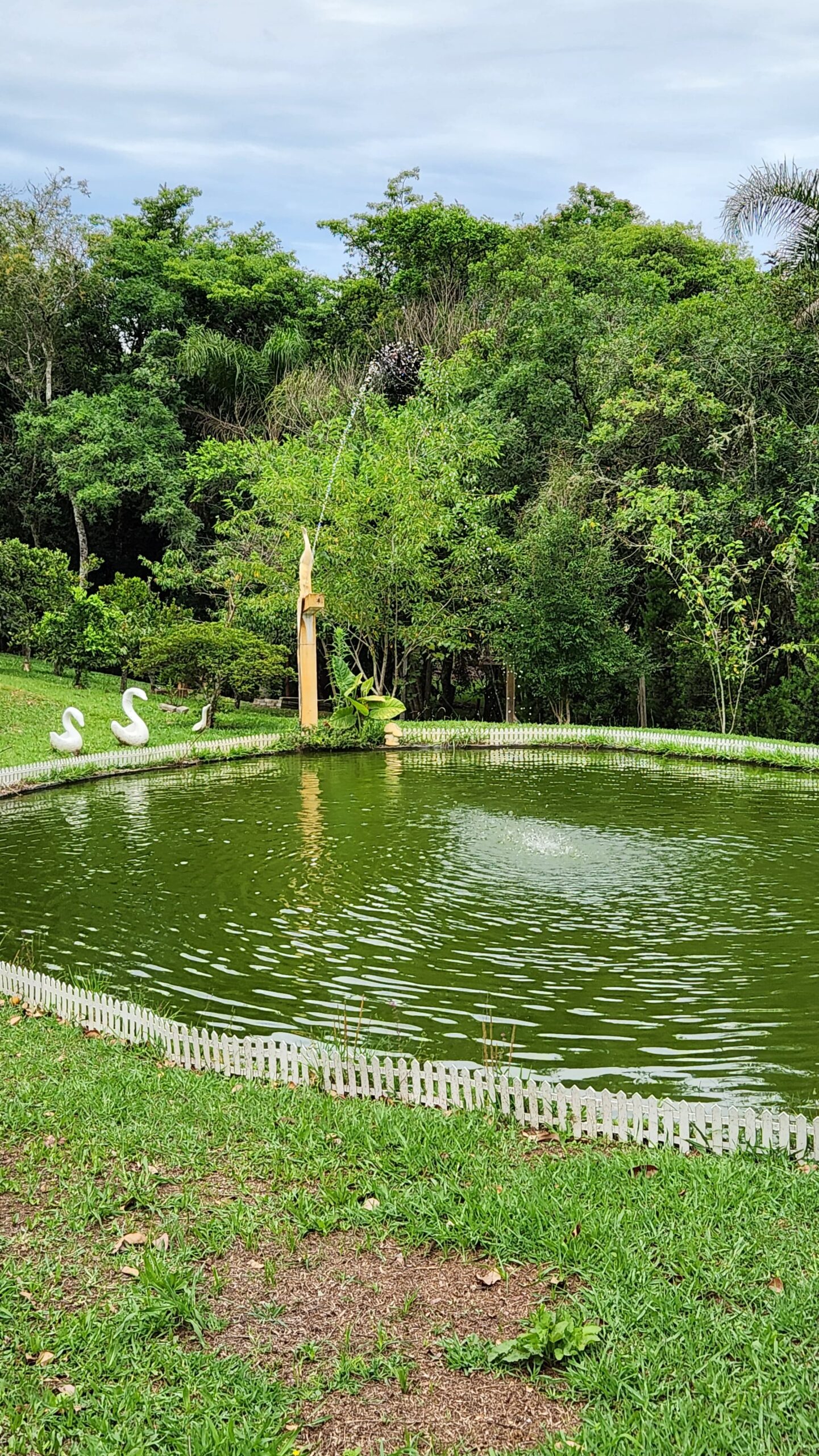 e18567f2-a7f2-4798-be4c-86e5ae1b95b8