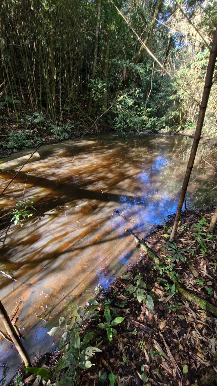 f64d251f-7048-406d-ad2e-58398575f2b9