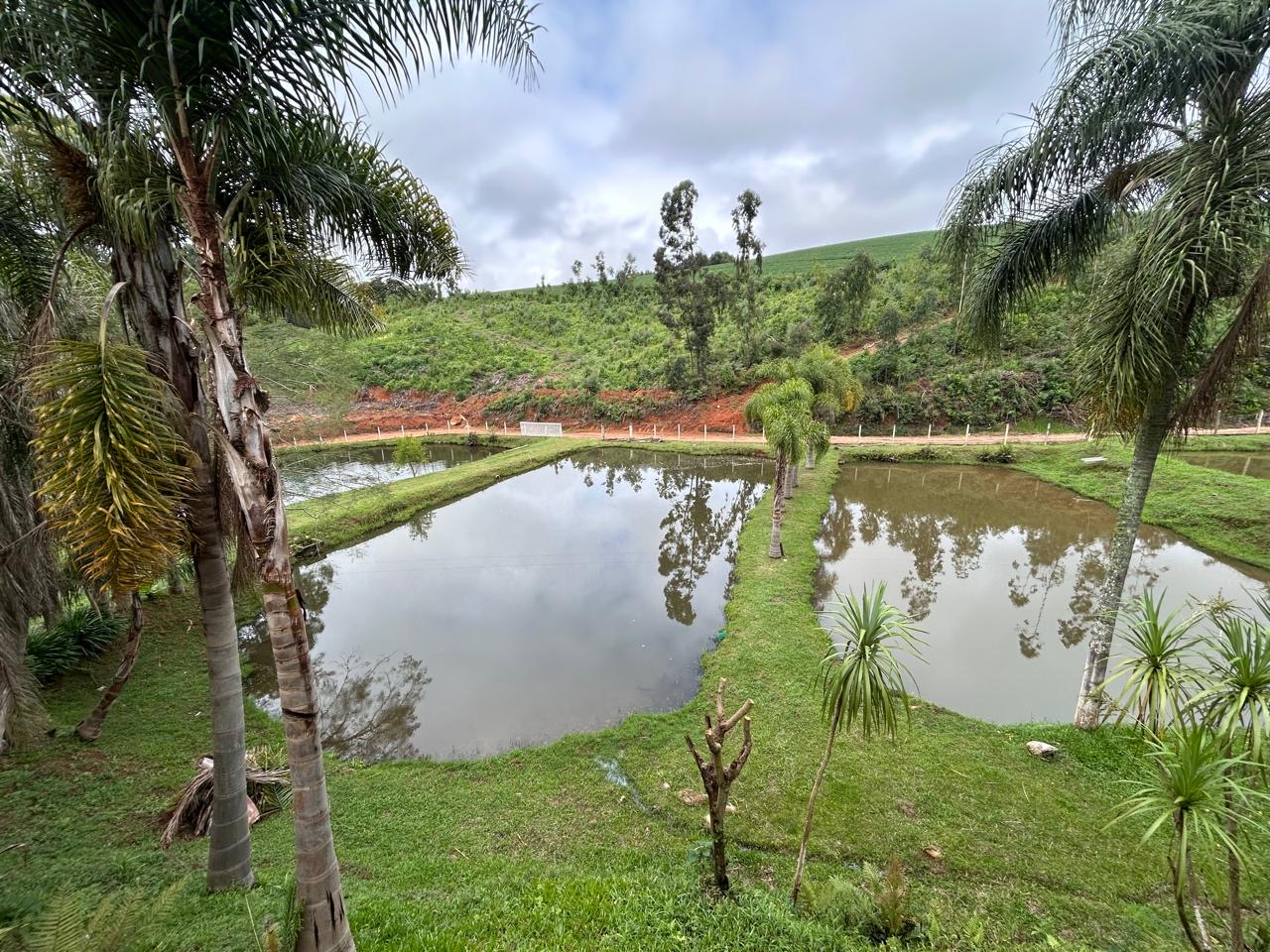 17ee6c4b-6e7a-47b3-a699-0b0032926549