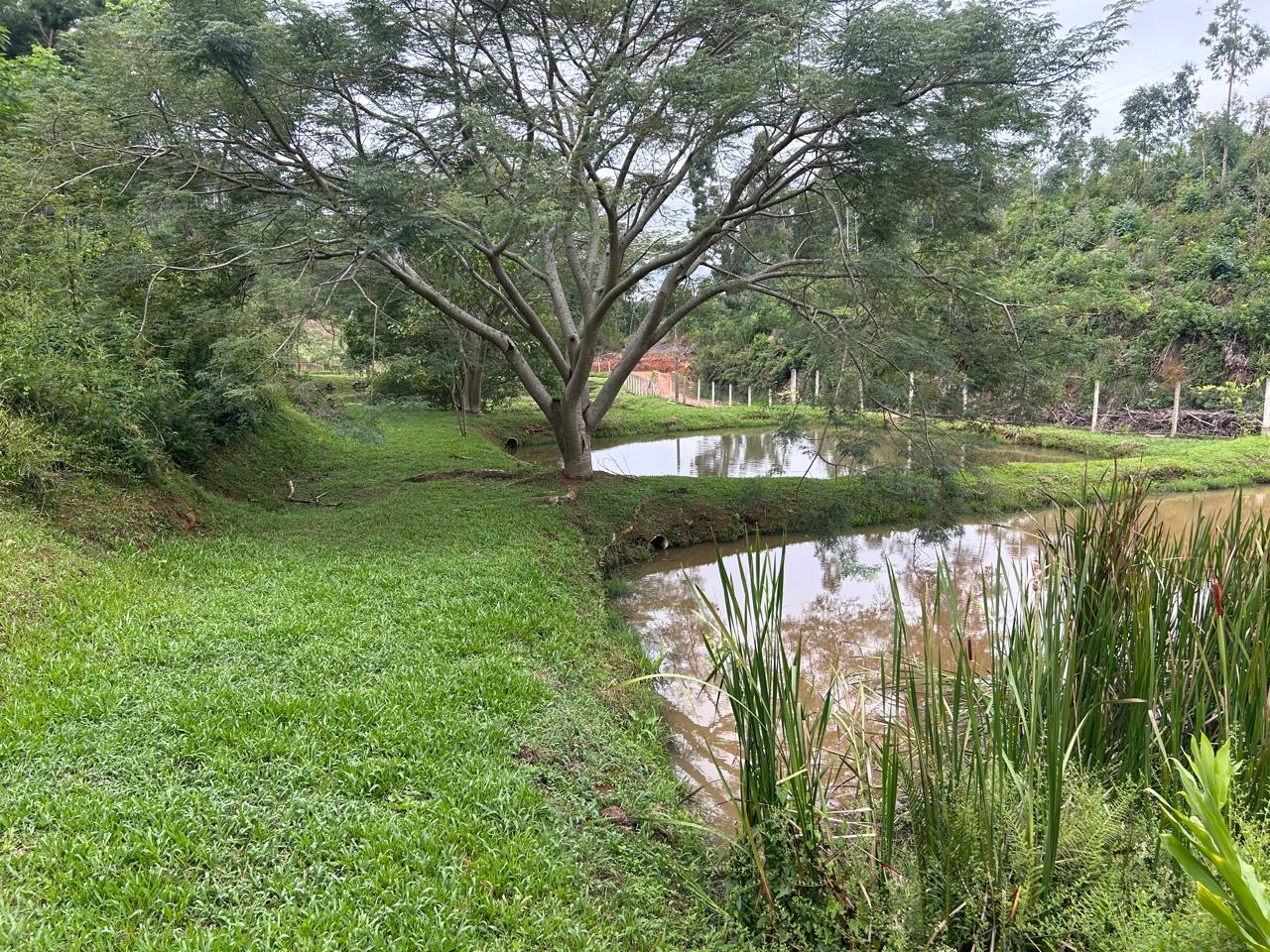 3b63721e-7a2b-4db9-8240-f5c86a42dac1