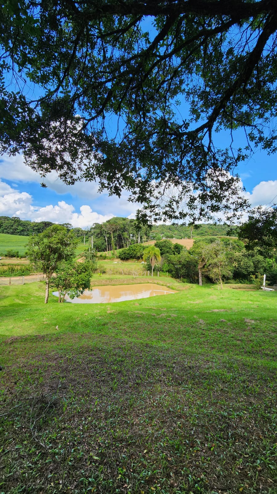 5241534c-049e-4032-bb1b-46a9b5a7113c