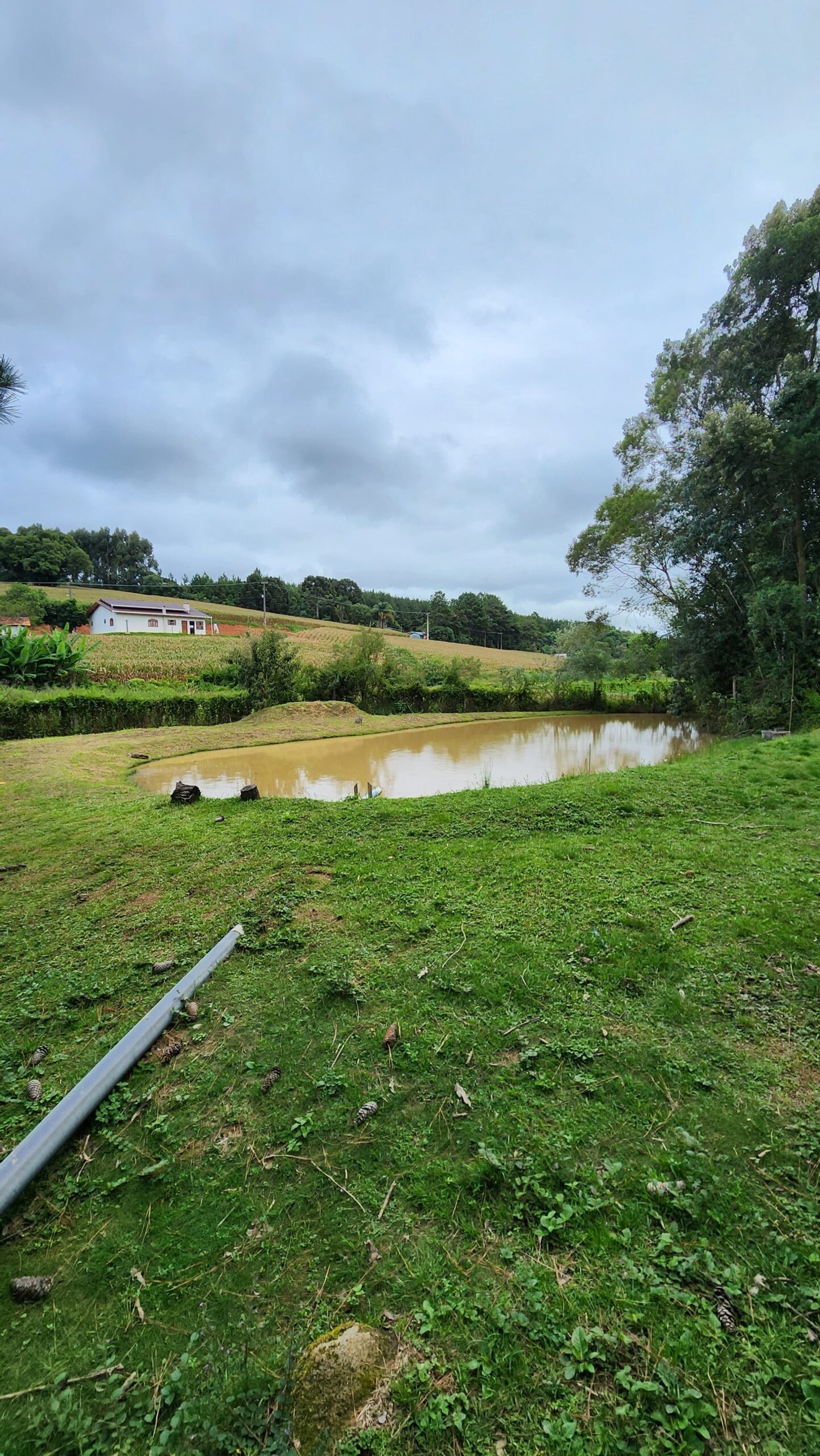 5368e64c-2316-4c79-9ea9-dd91bbd2c663