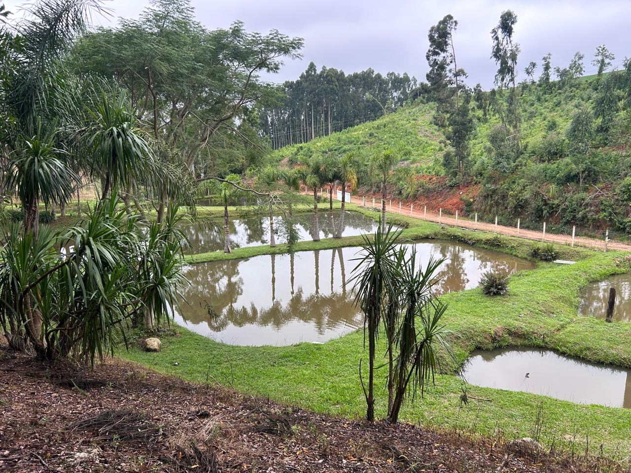 5bc0f2ca-d8c5-4946-920d-81090dc0c978