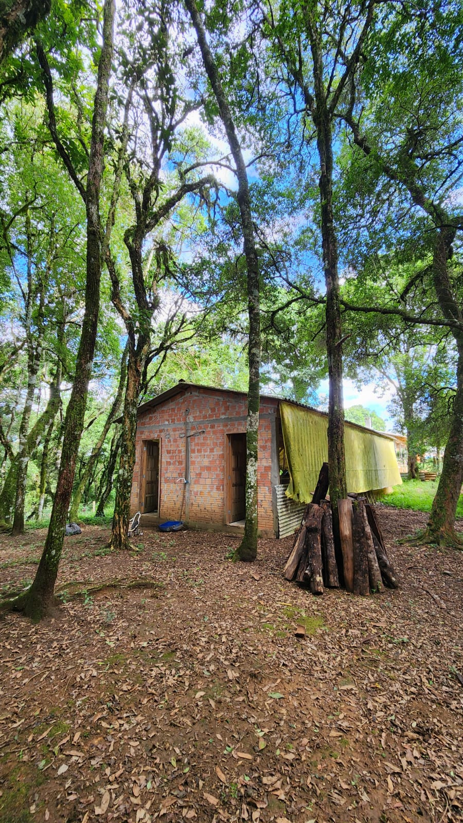 5e27b86d-ff95-4347-a8bb-4176336b2464