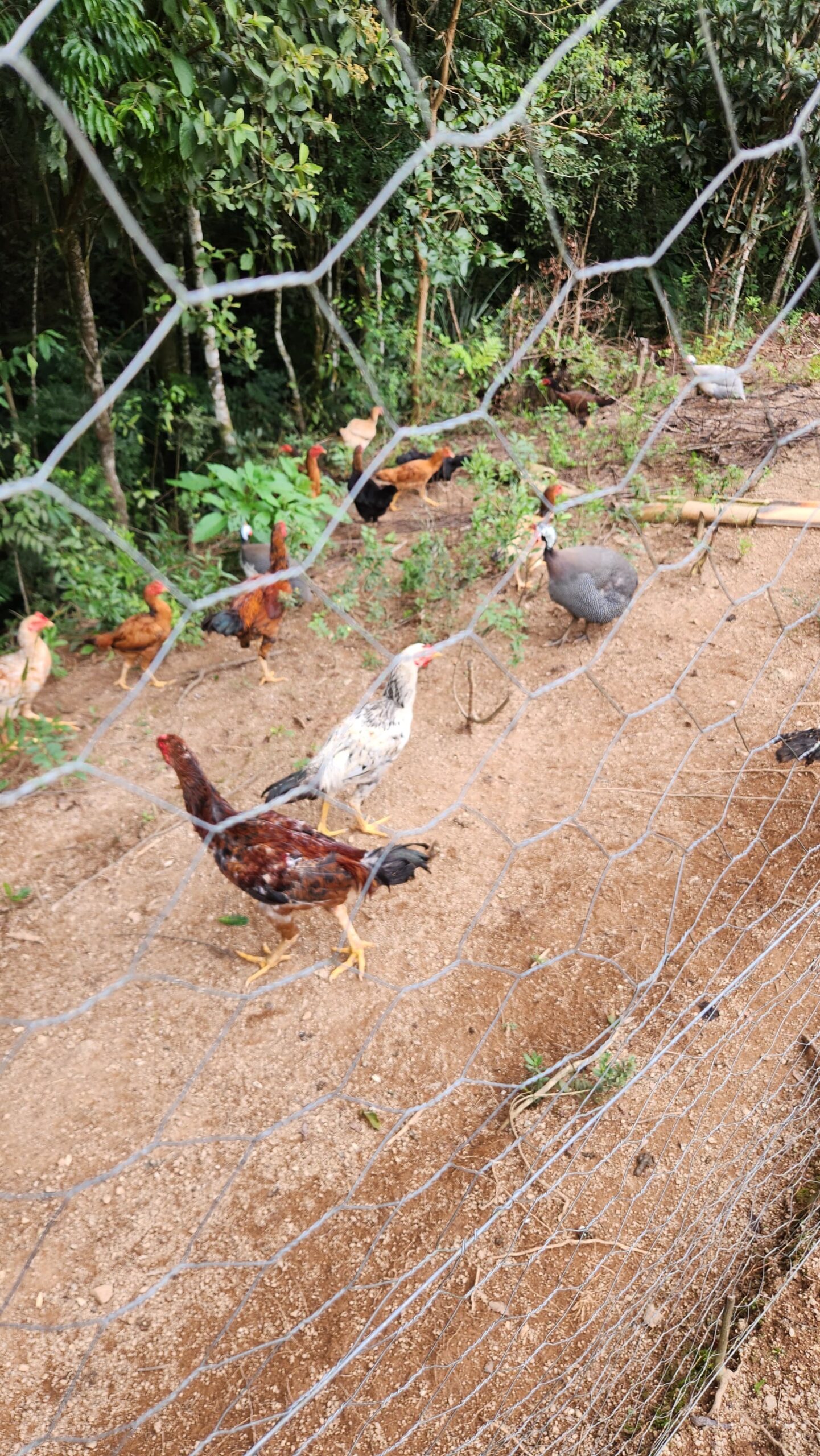 757ce36d-ad2f-49d8-b316-786ddef3a24d