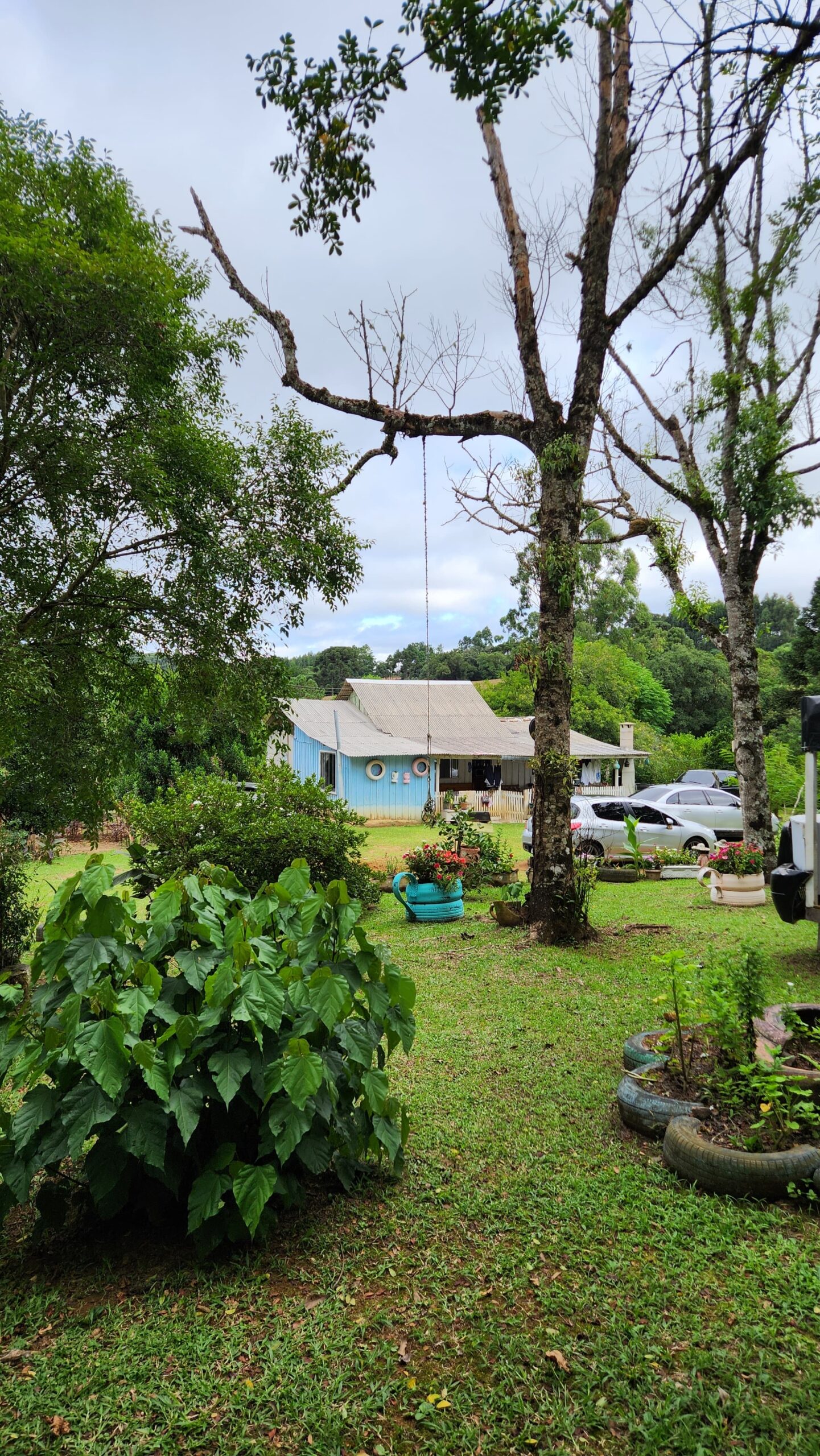 8b2d848e-9a33-49e6-ac97-8d0593ca7bf6