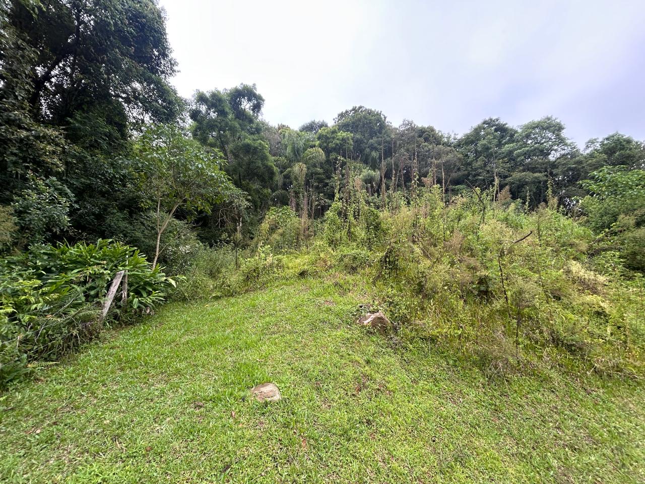 ab44d621-3610-4f9f-8656-c0da148fe40b